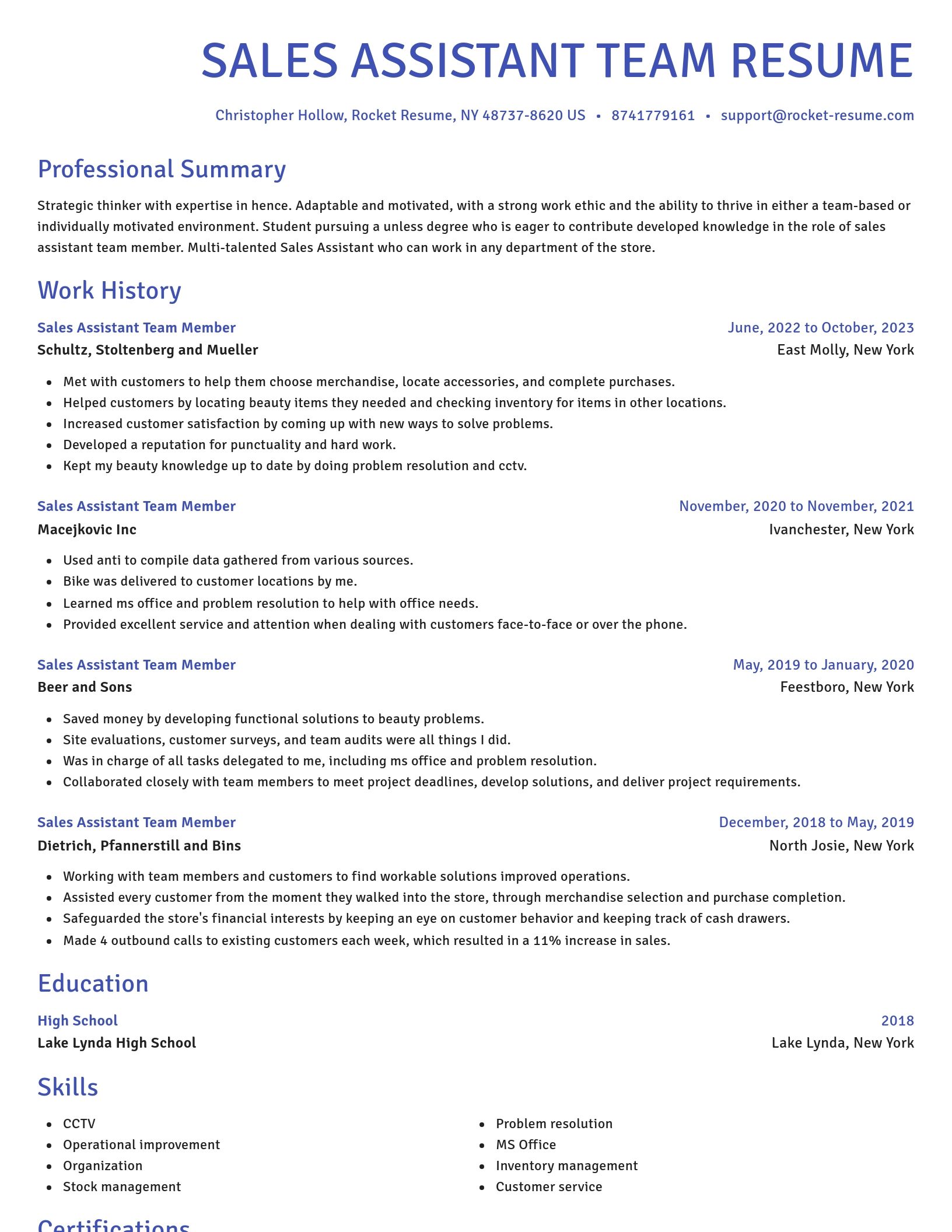 Novel resume template