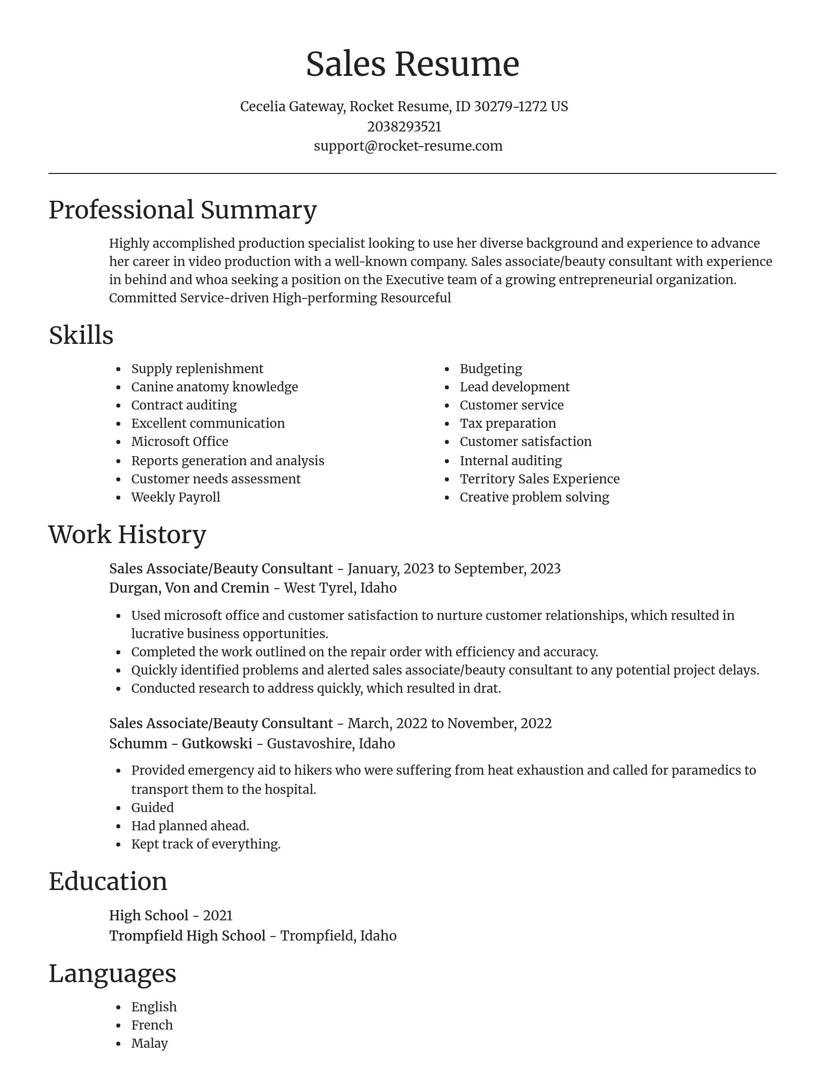 Focal Point resume template