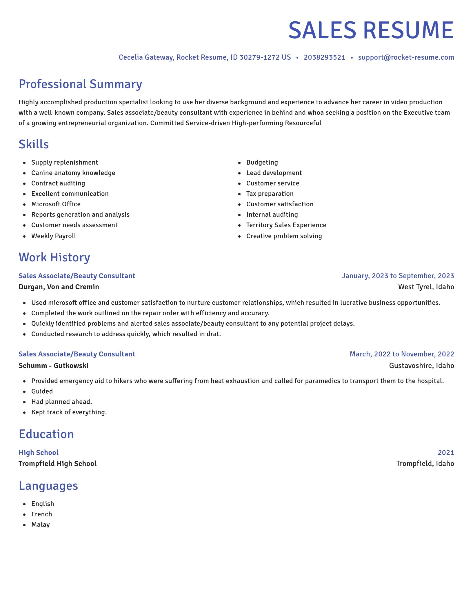 Novel resume template