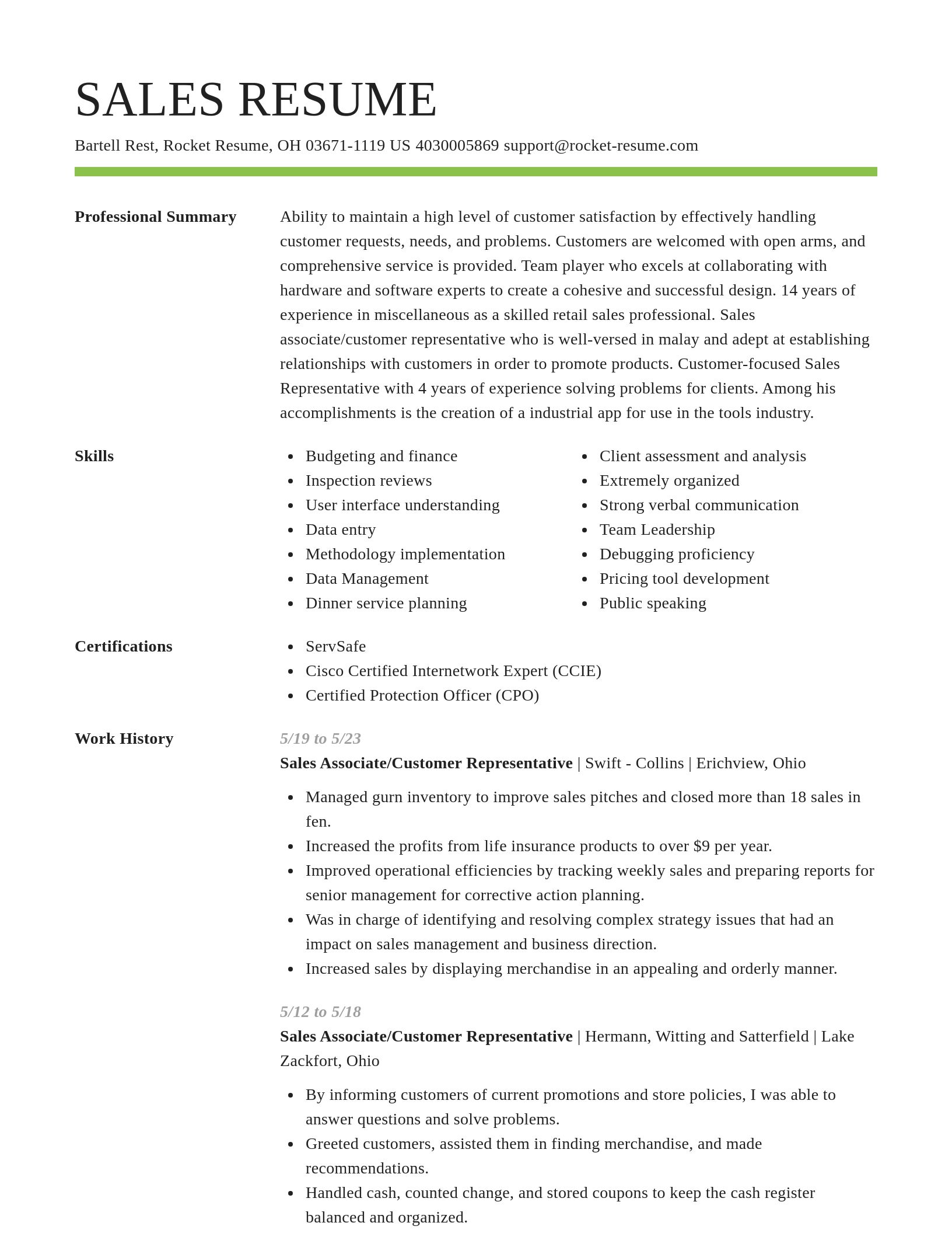 Smart resume template