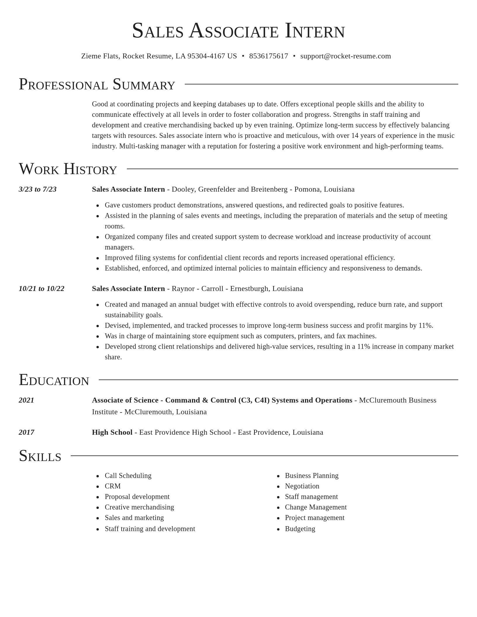 Director resume template