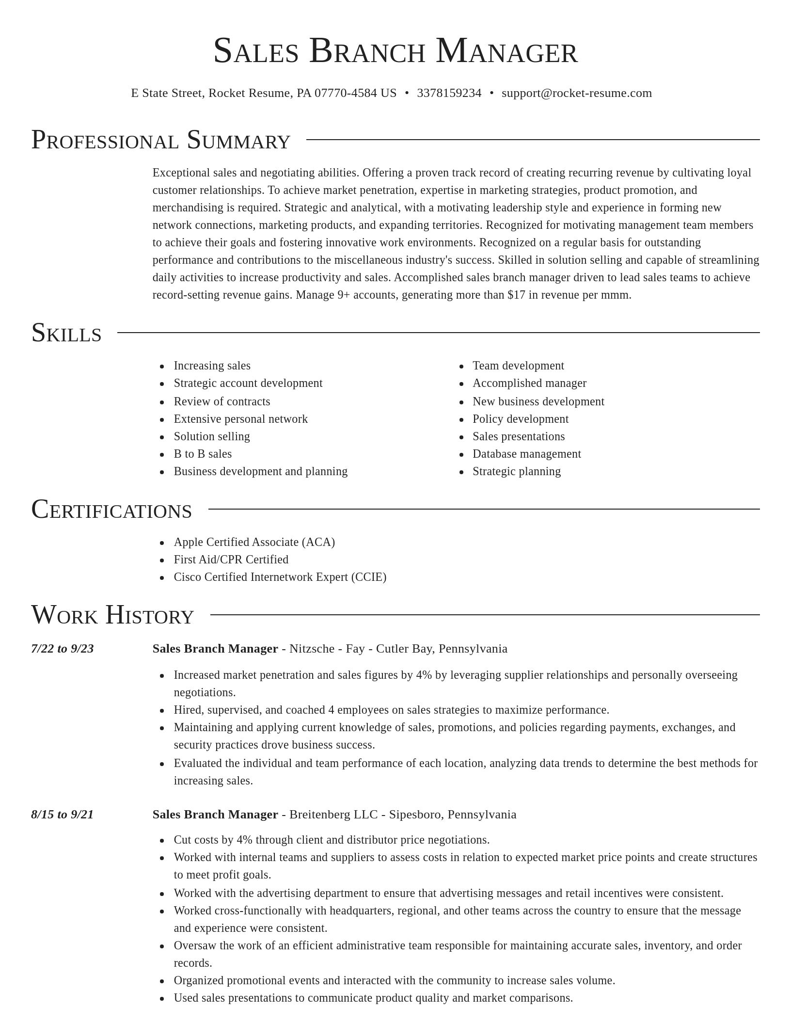 Director resume template