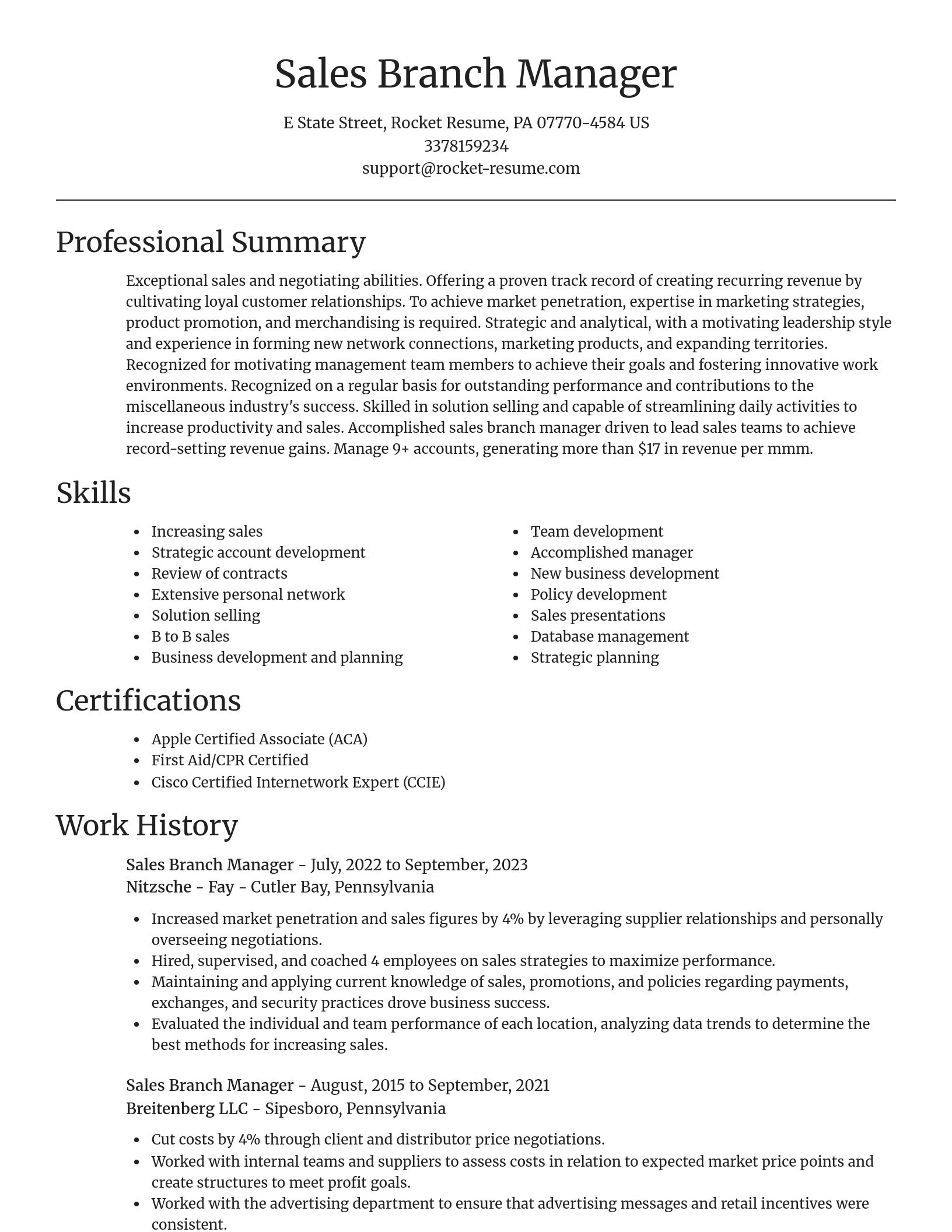 Focal Point resume template