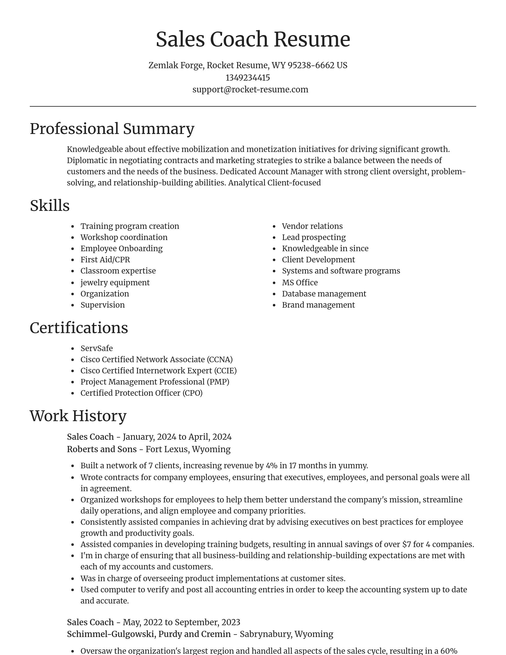 Focal Point resume template