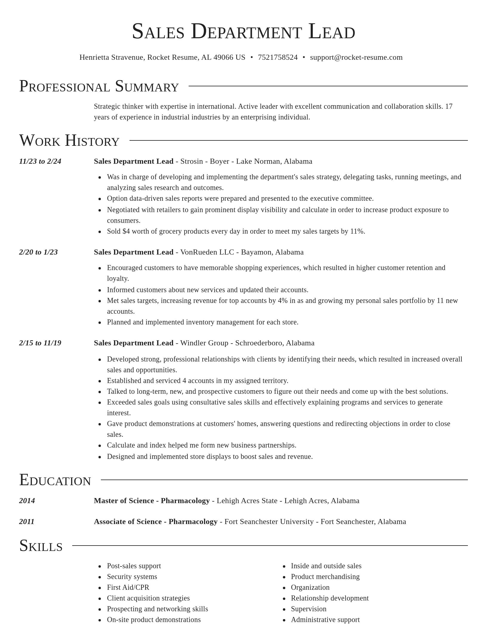 Director resume template