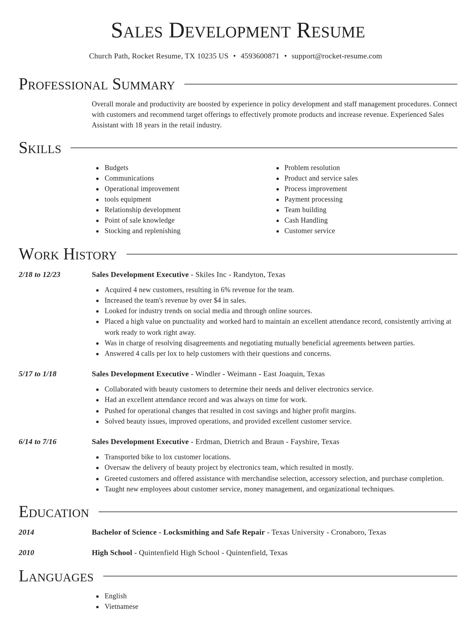 Director resume template