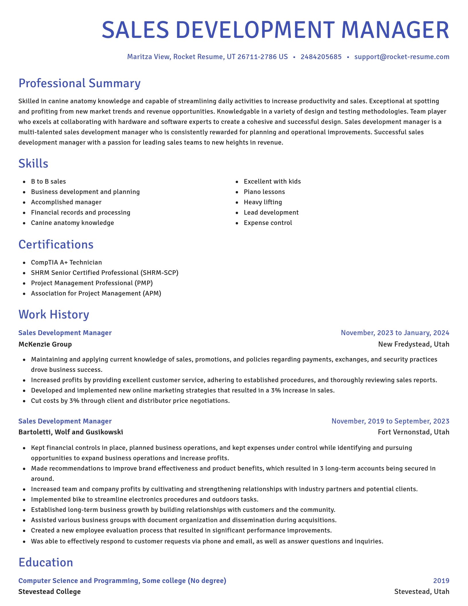 Novel resume template