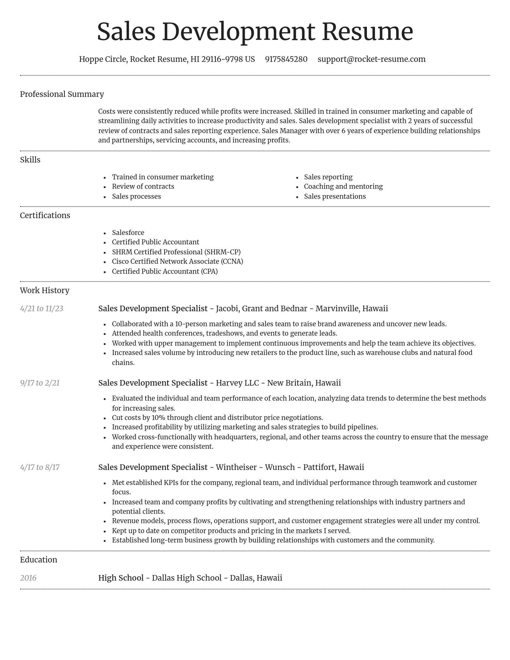 Dignified resume template