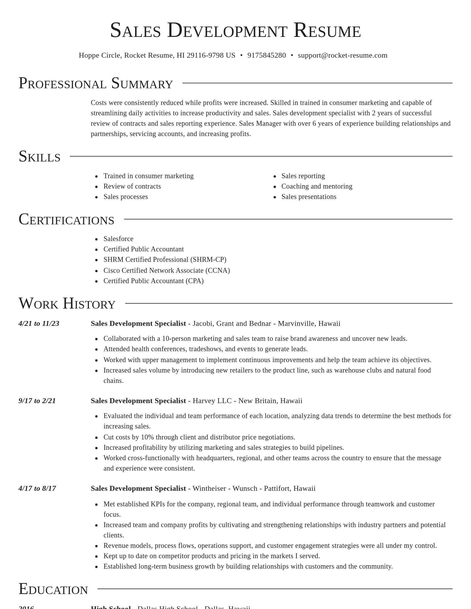 Director resume template