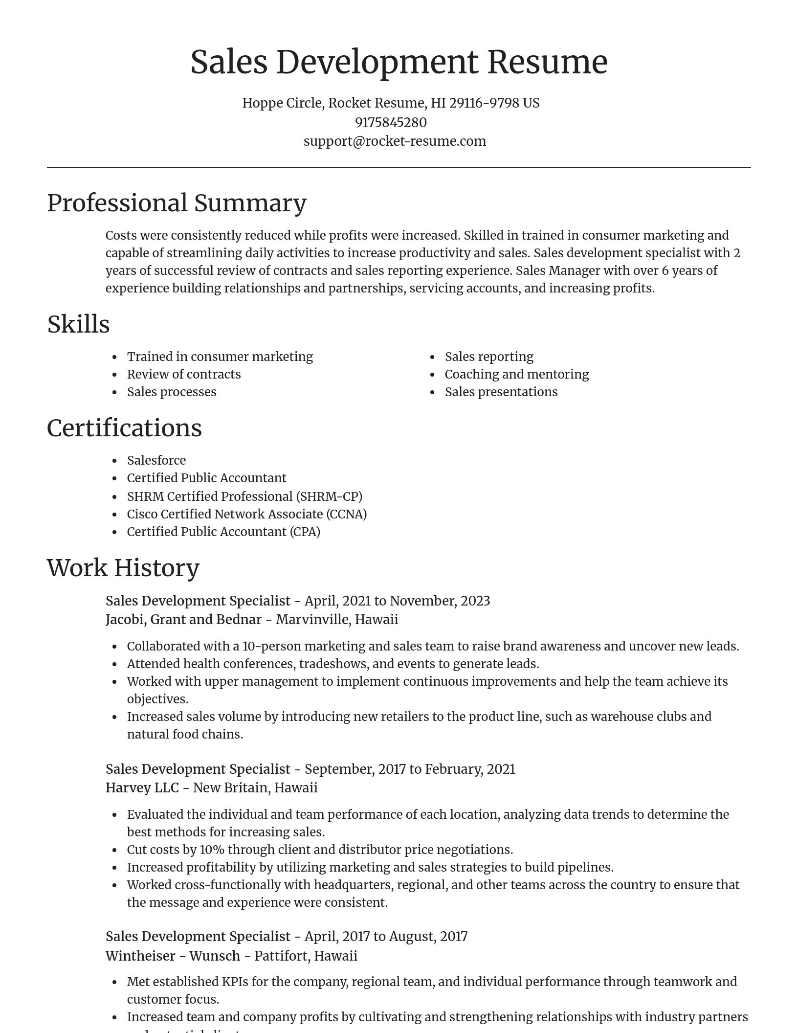 Focal Point resume template