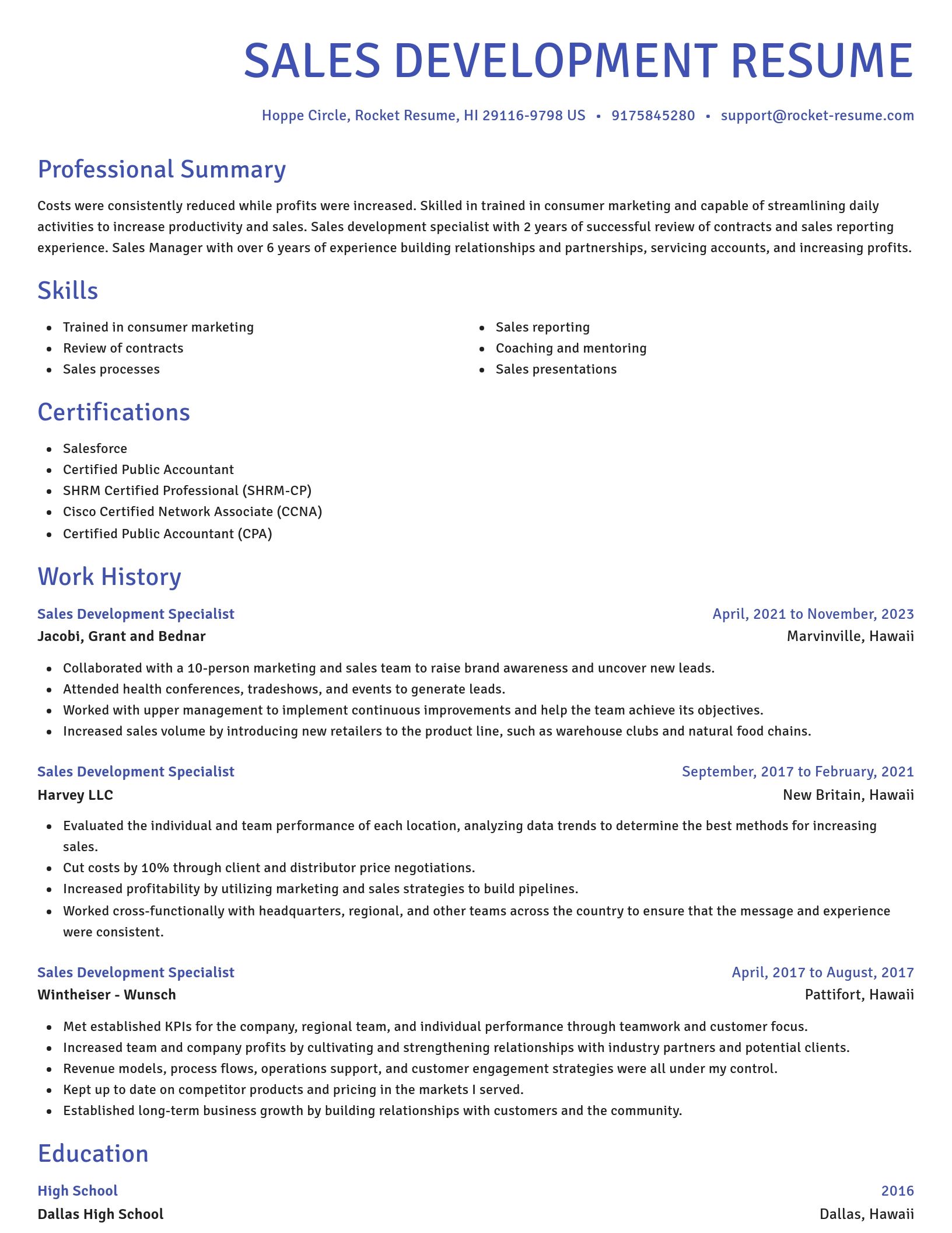 Novel resume template