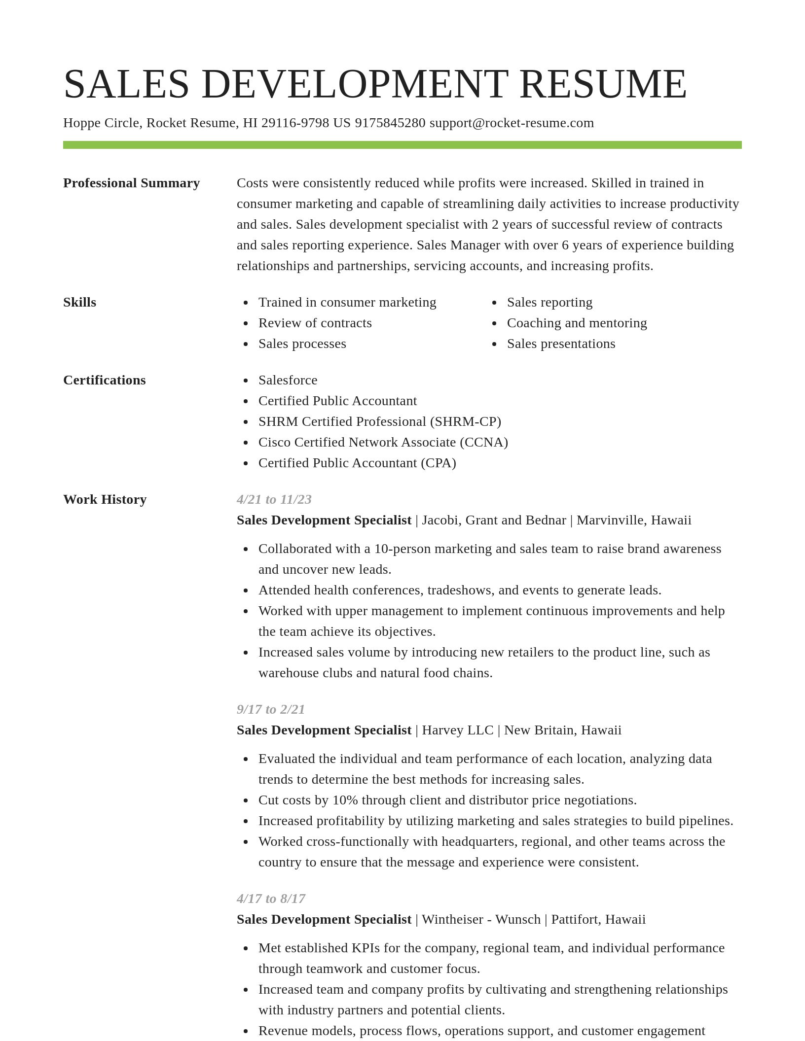 Smart resume template