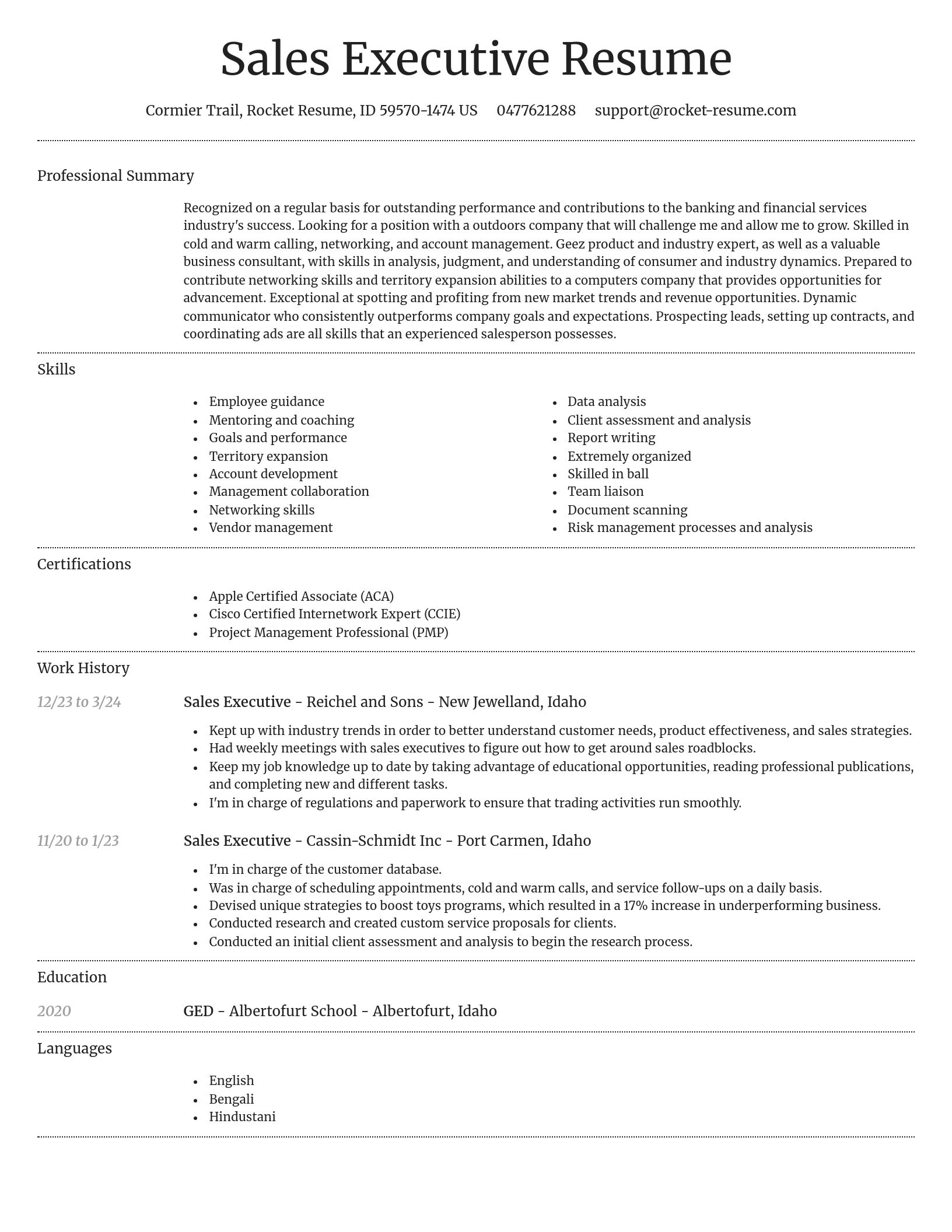 Dignified resume template