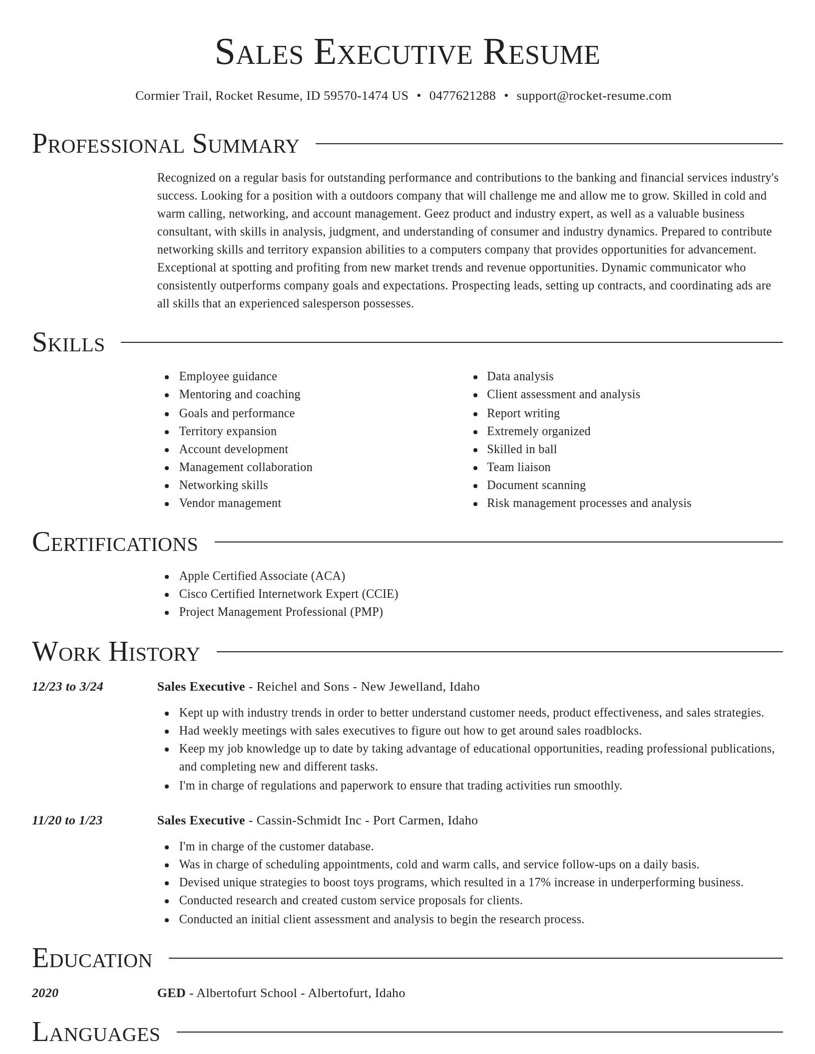 Director resume template