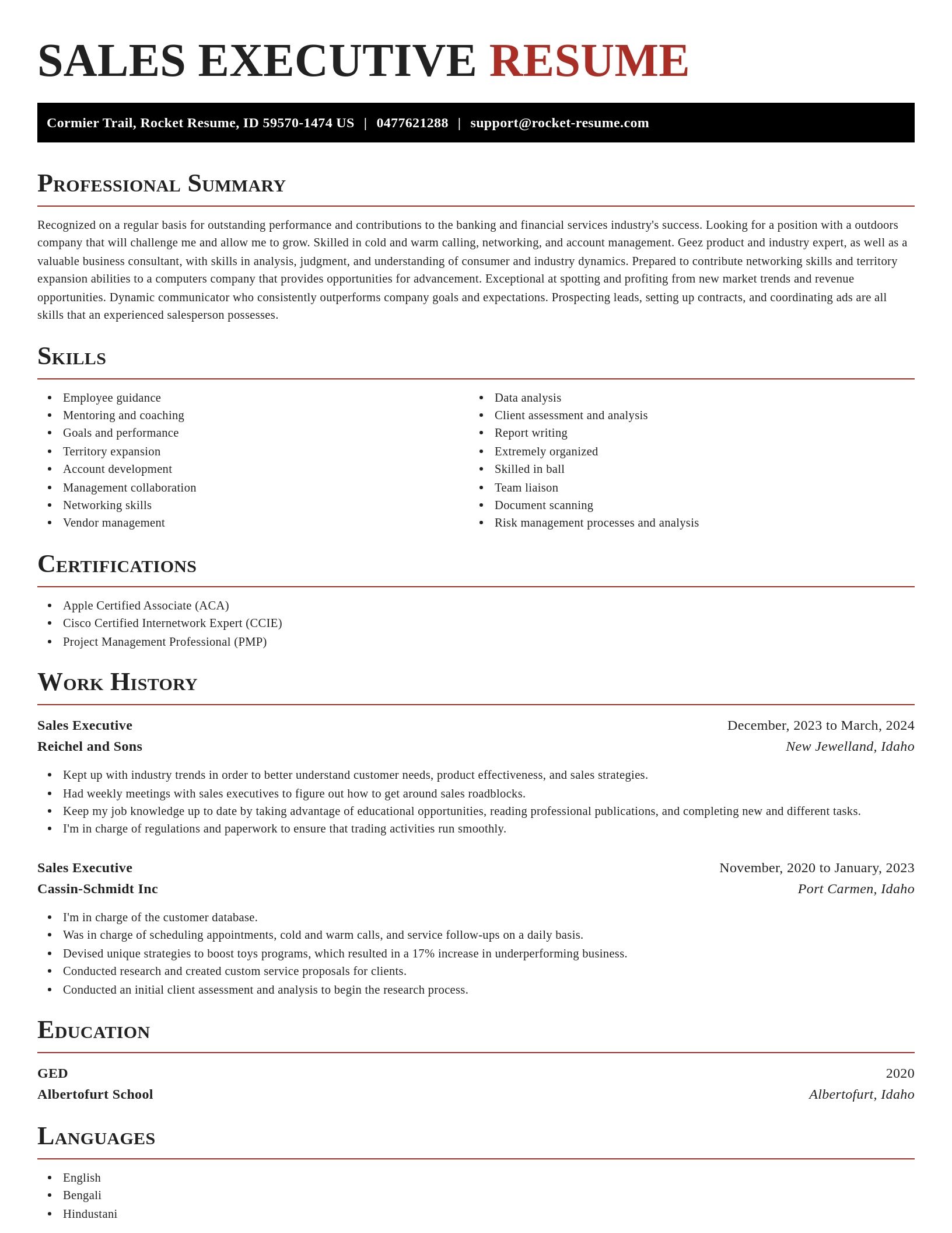 Exquisite resume template