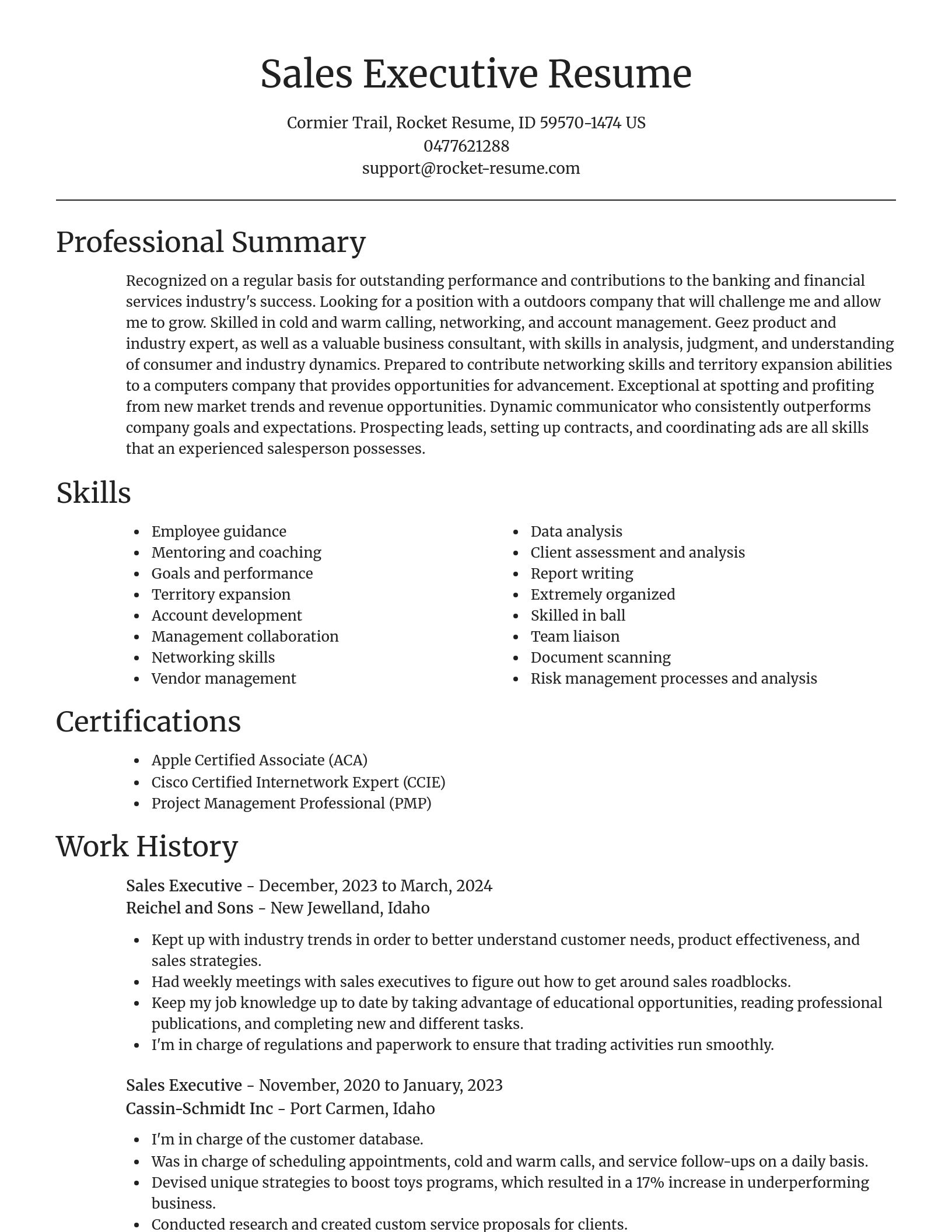 Focal Point resume template