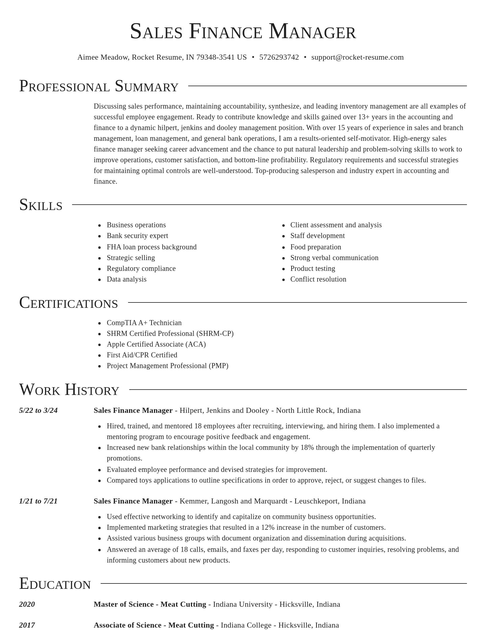Director resume template