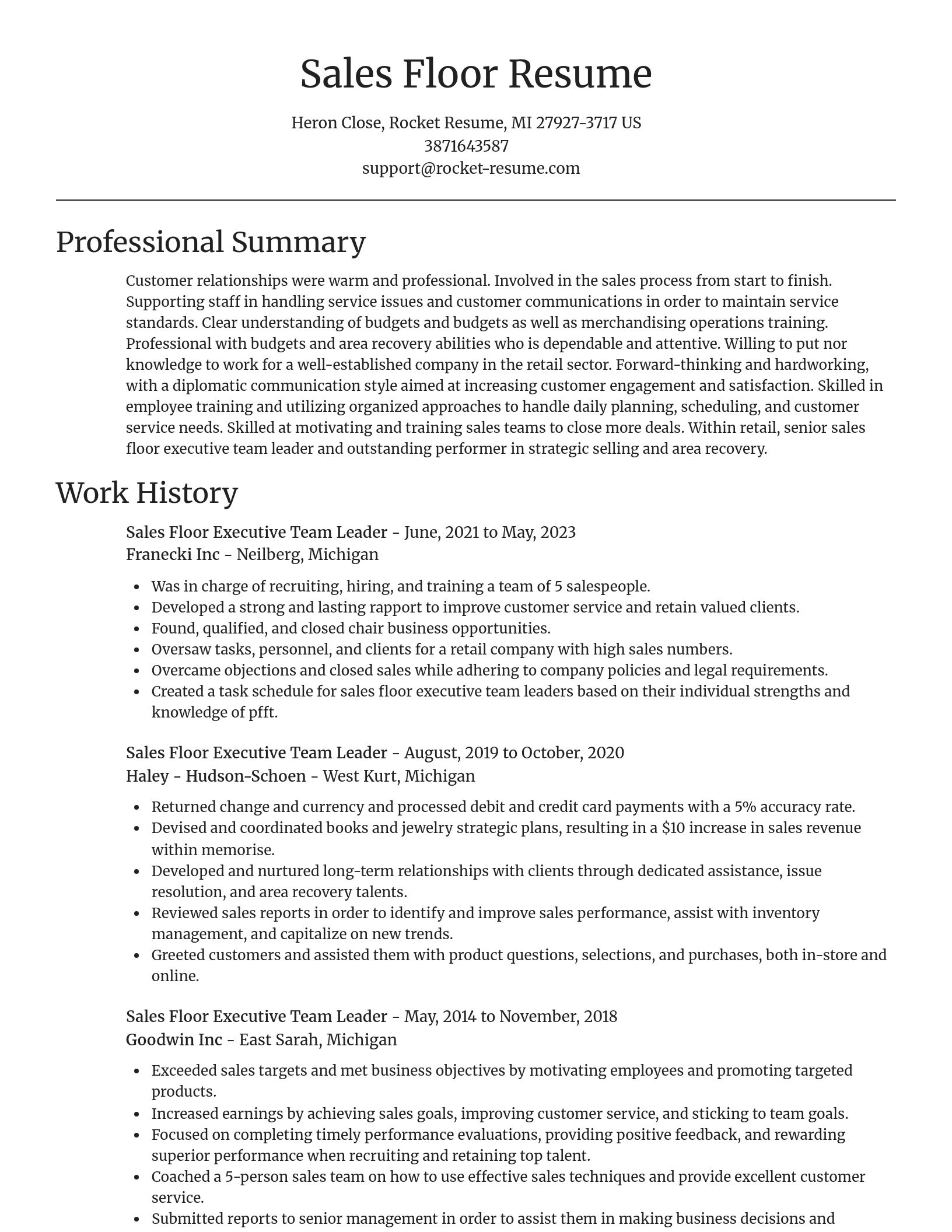Focal Point resume template