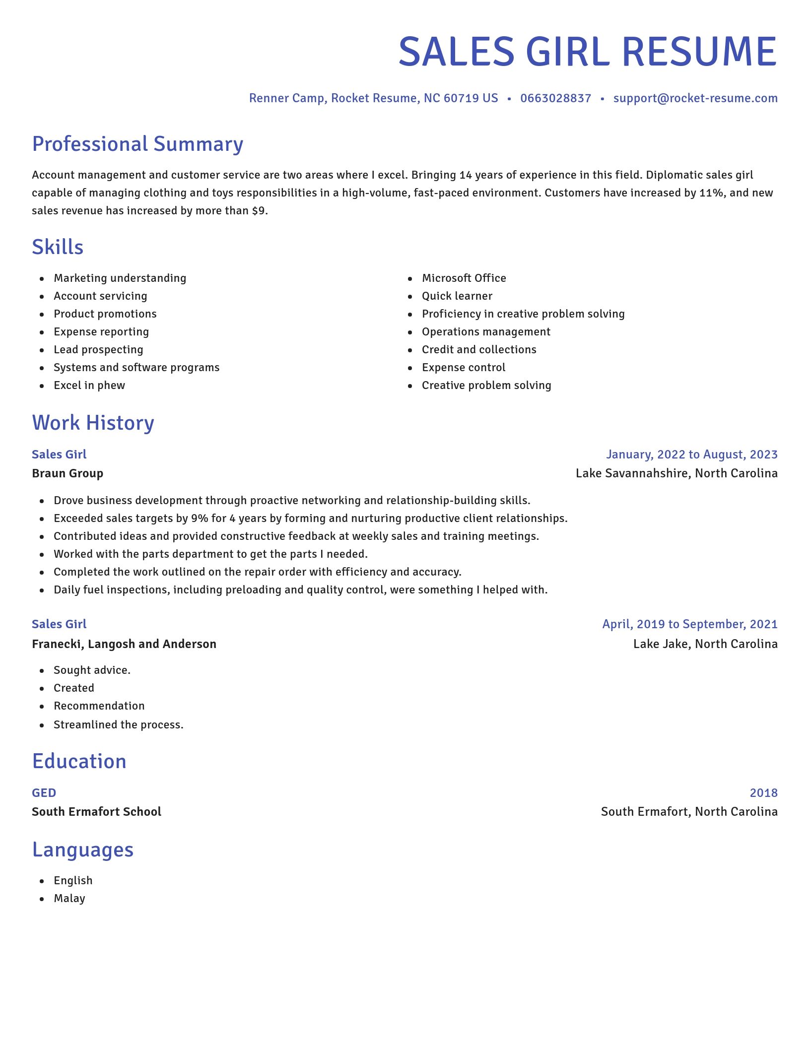 Novel resume template
