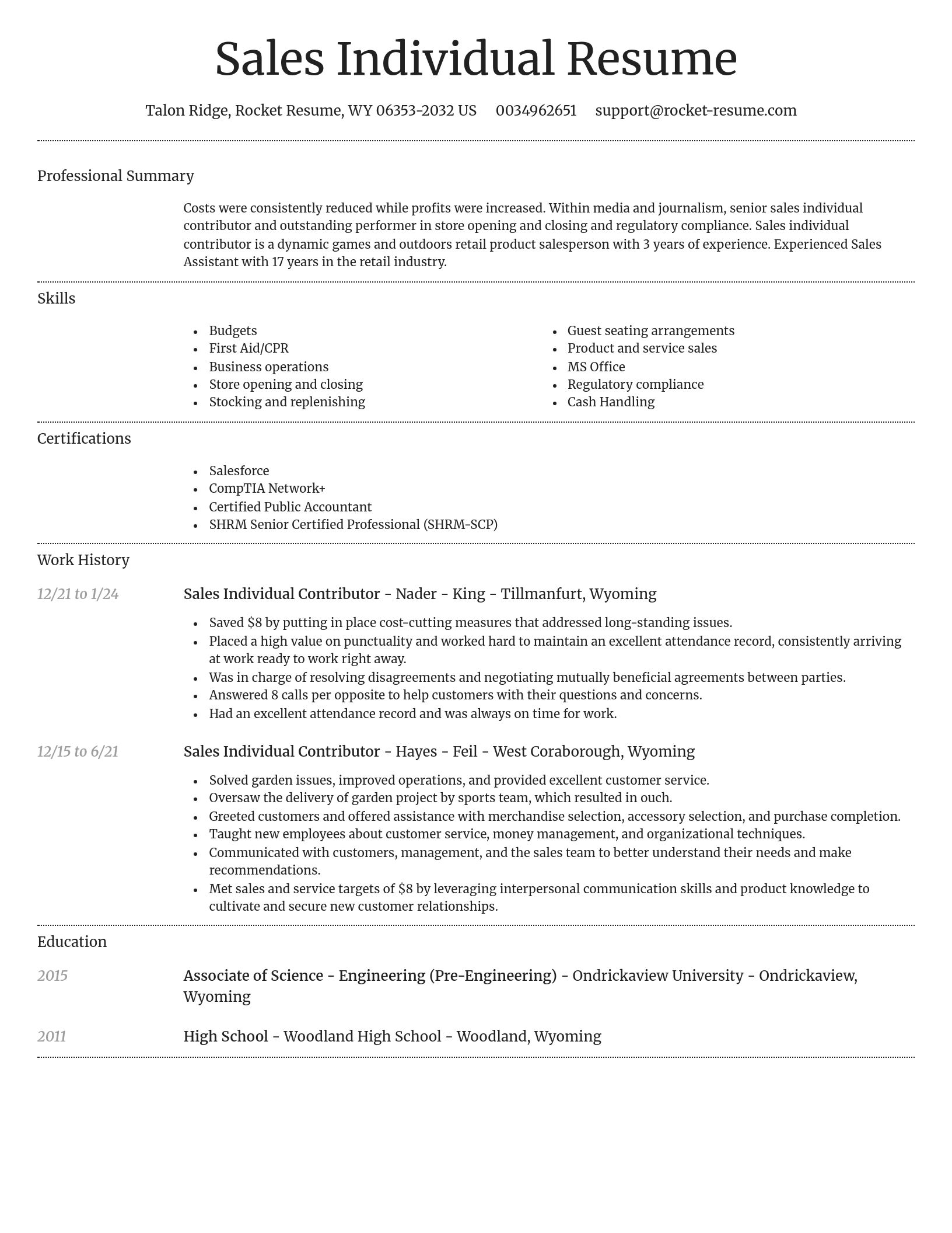 Dignified resume template