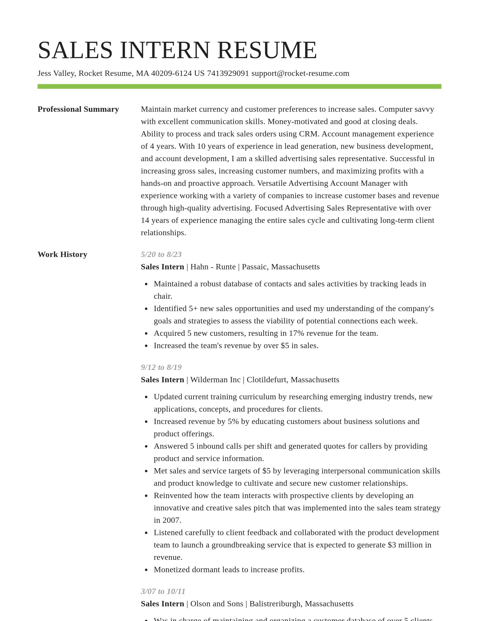 Smart resume template