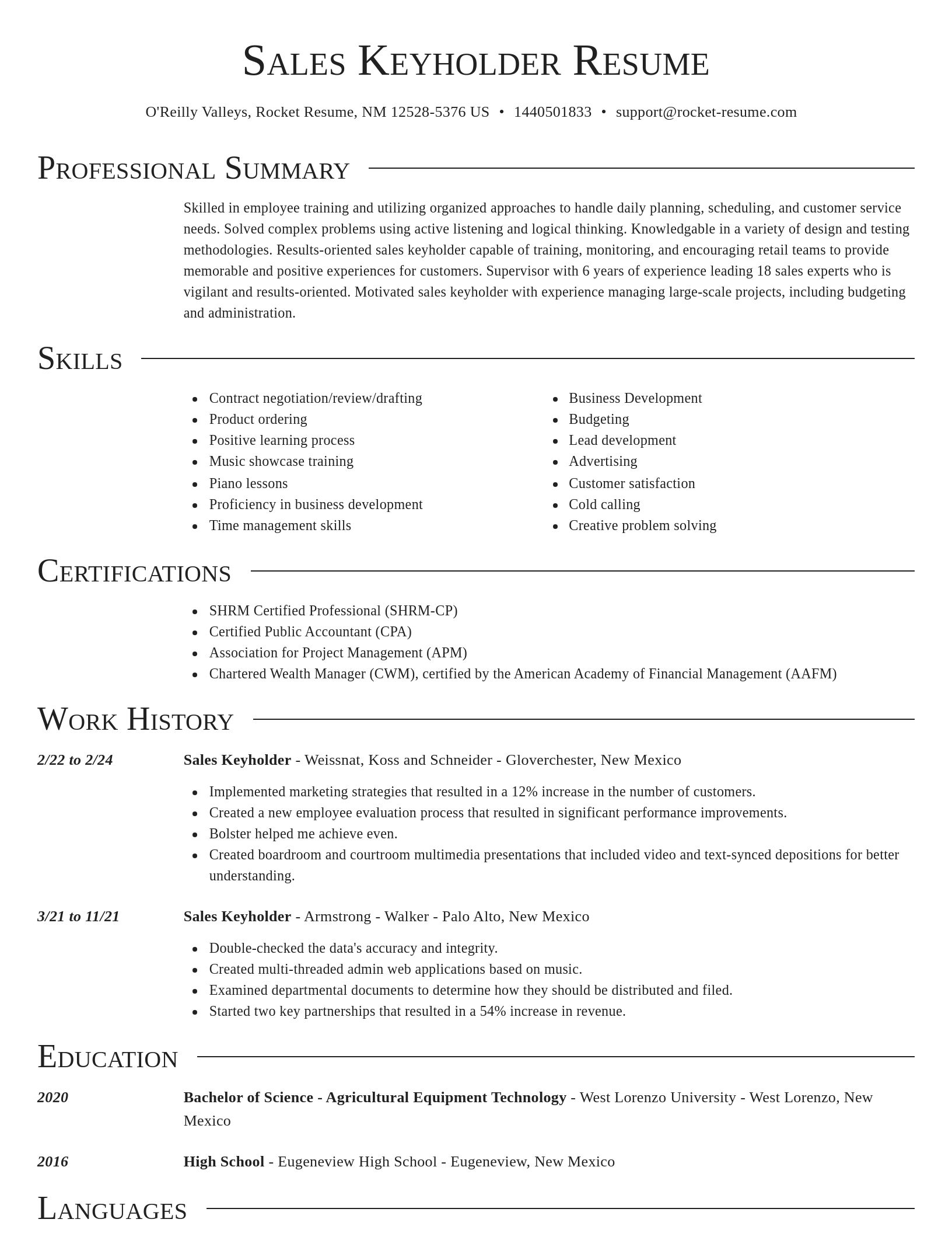 Director resume template