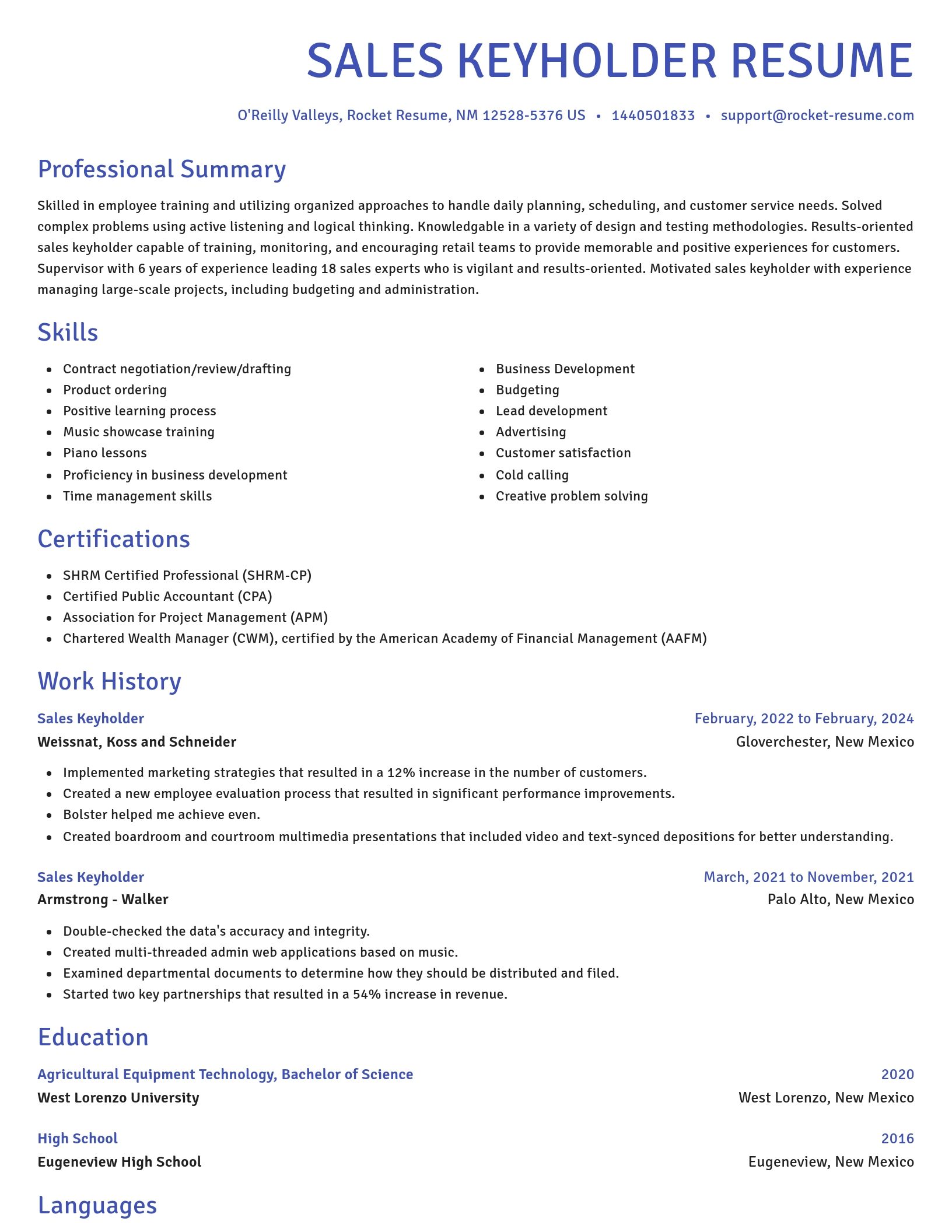 Novel resume template