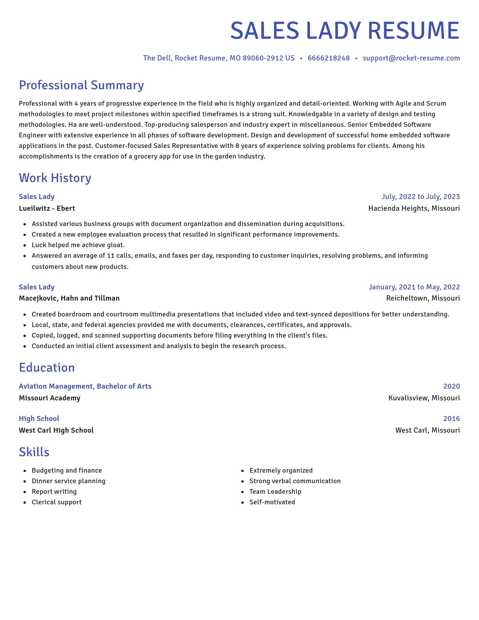 Novel resume template