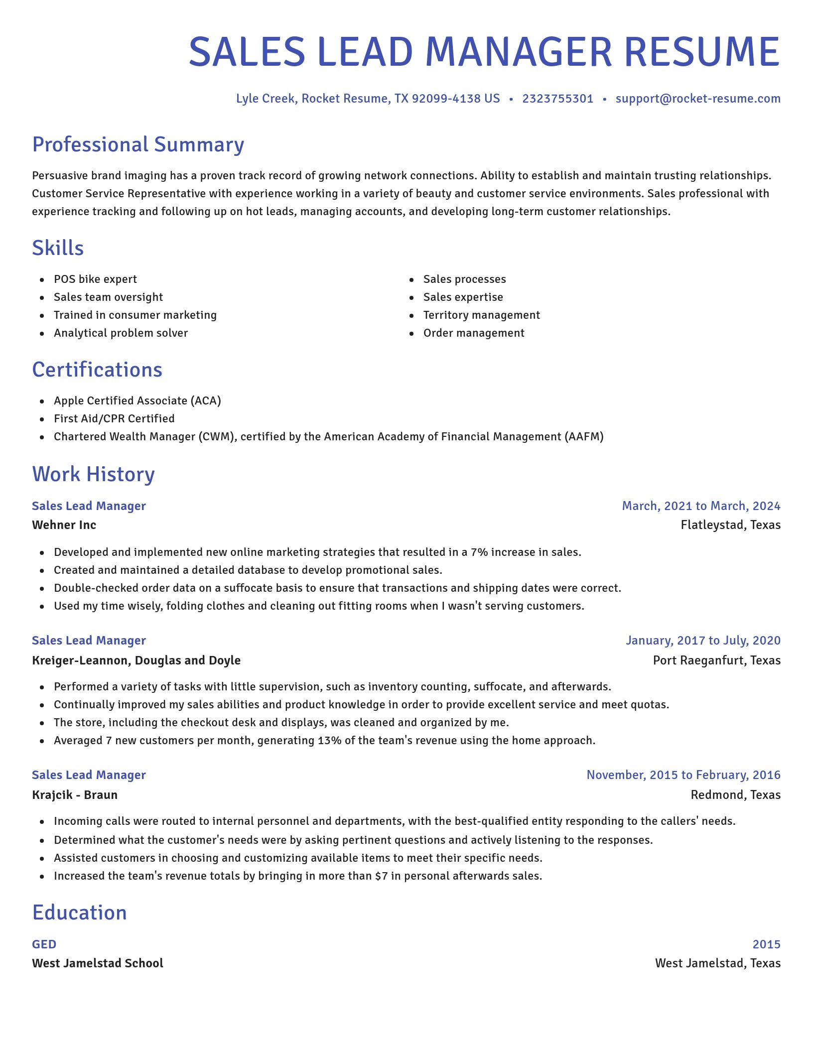 Novel resume template