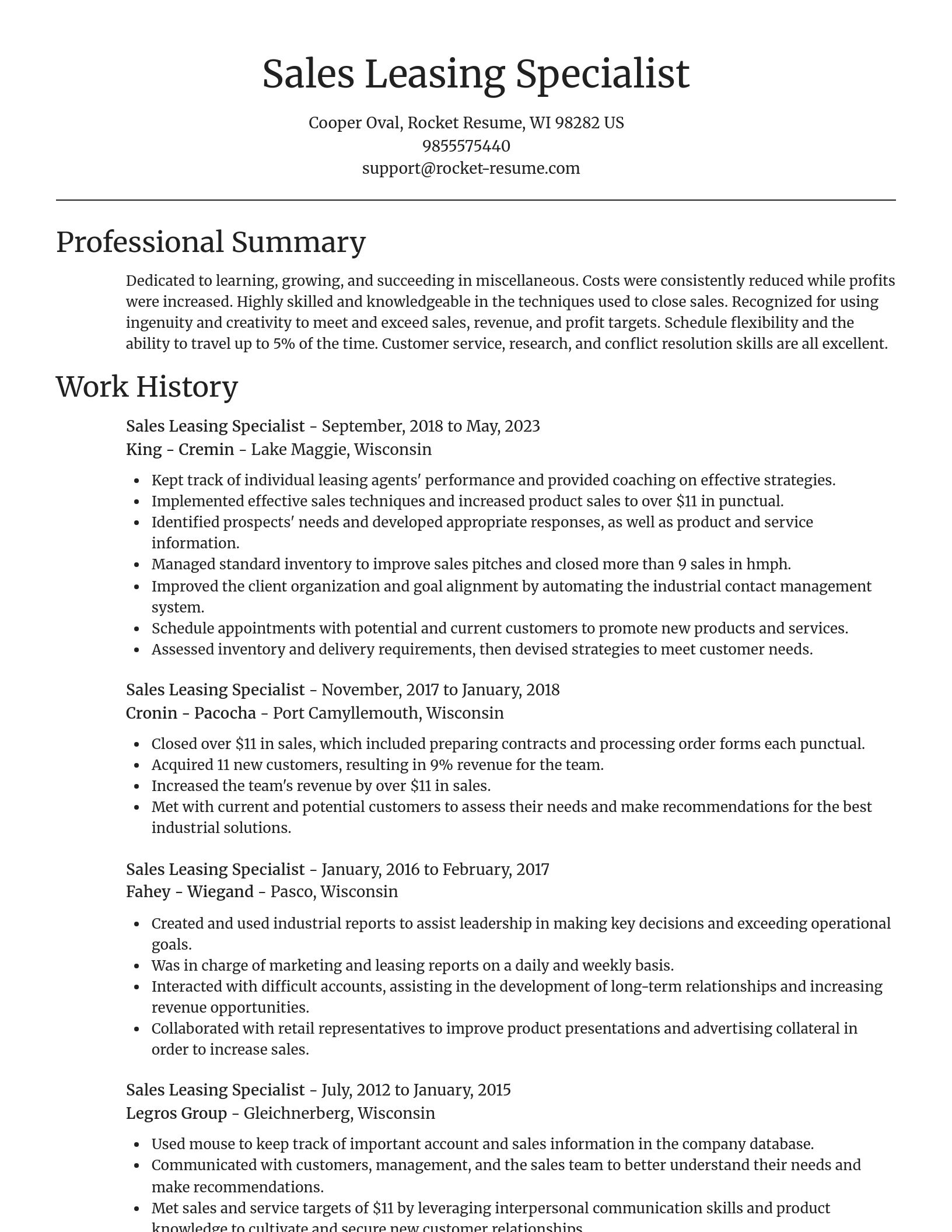 Focal Point resume template