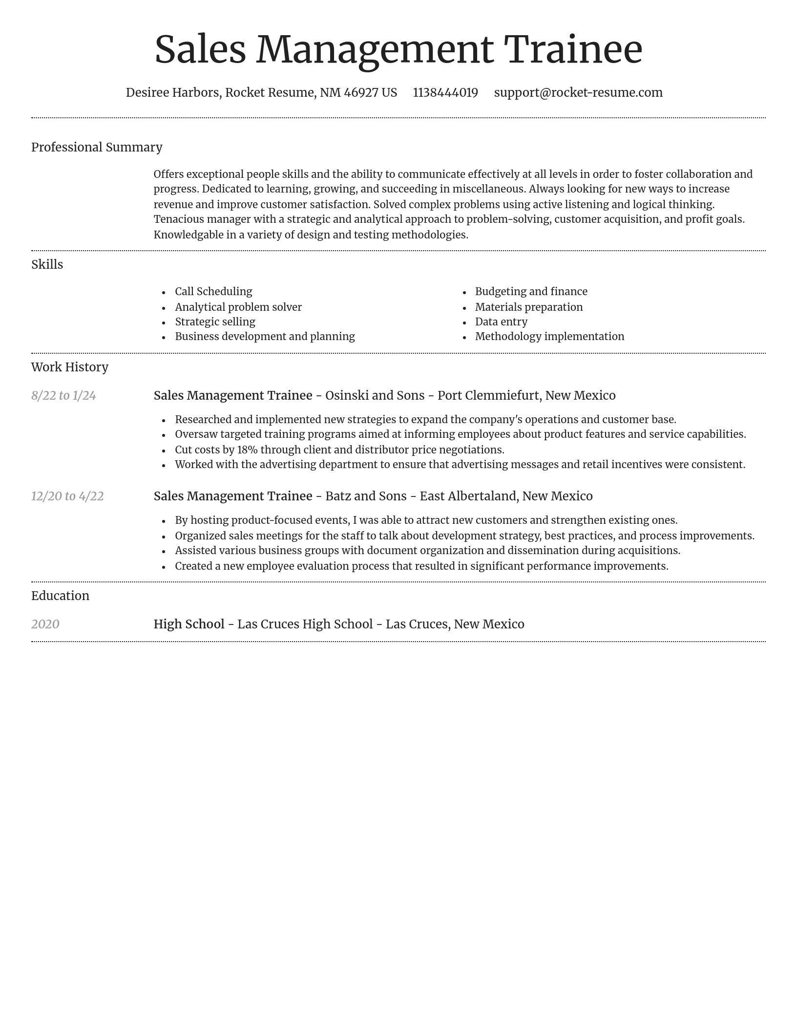 Dignified resume template