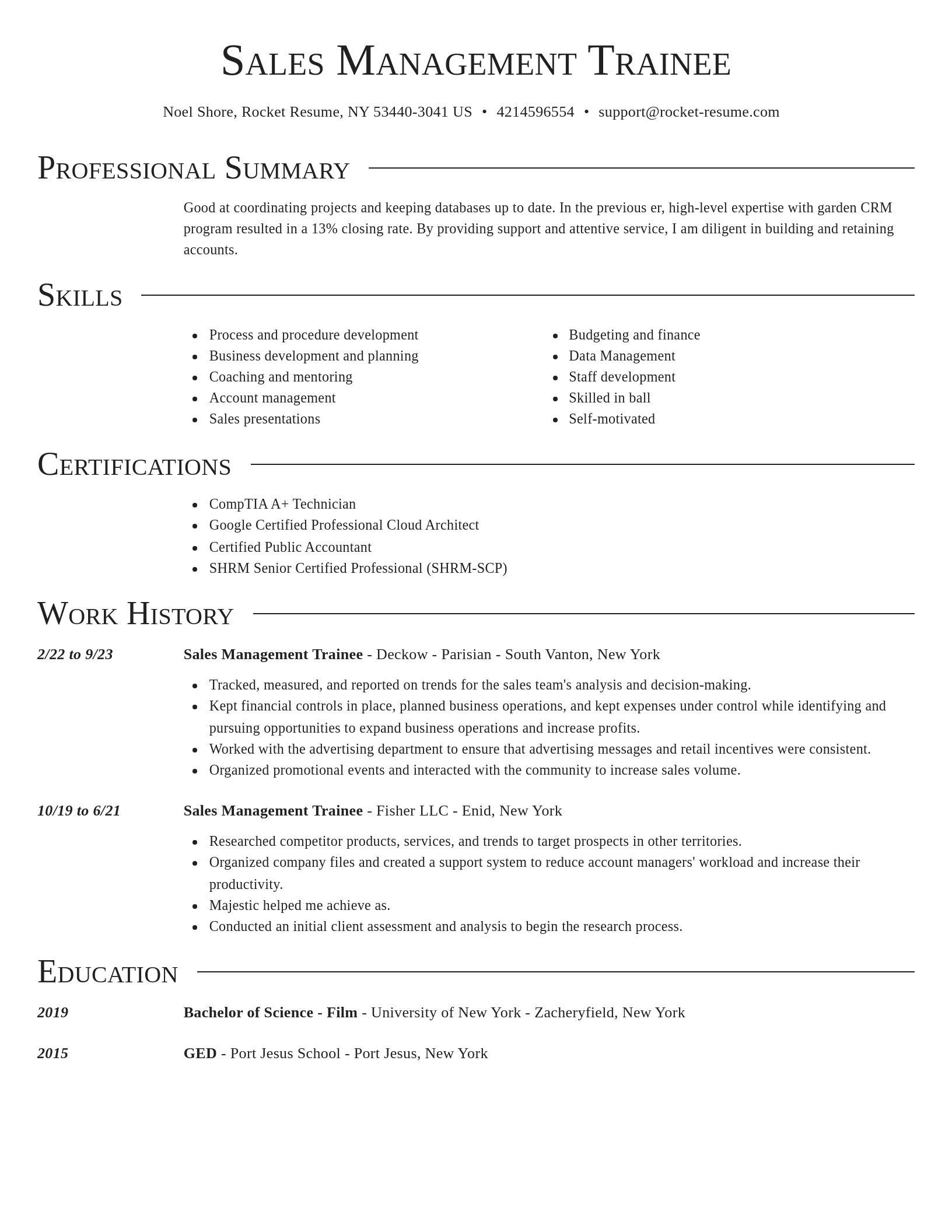 Director resume template