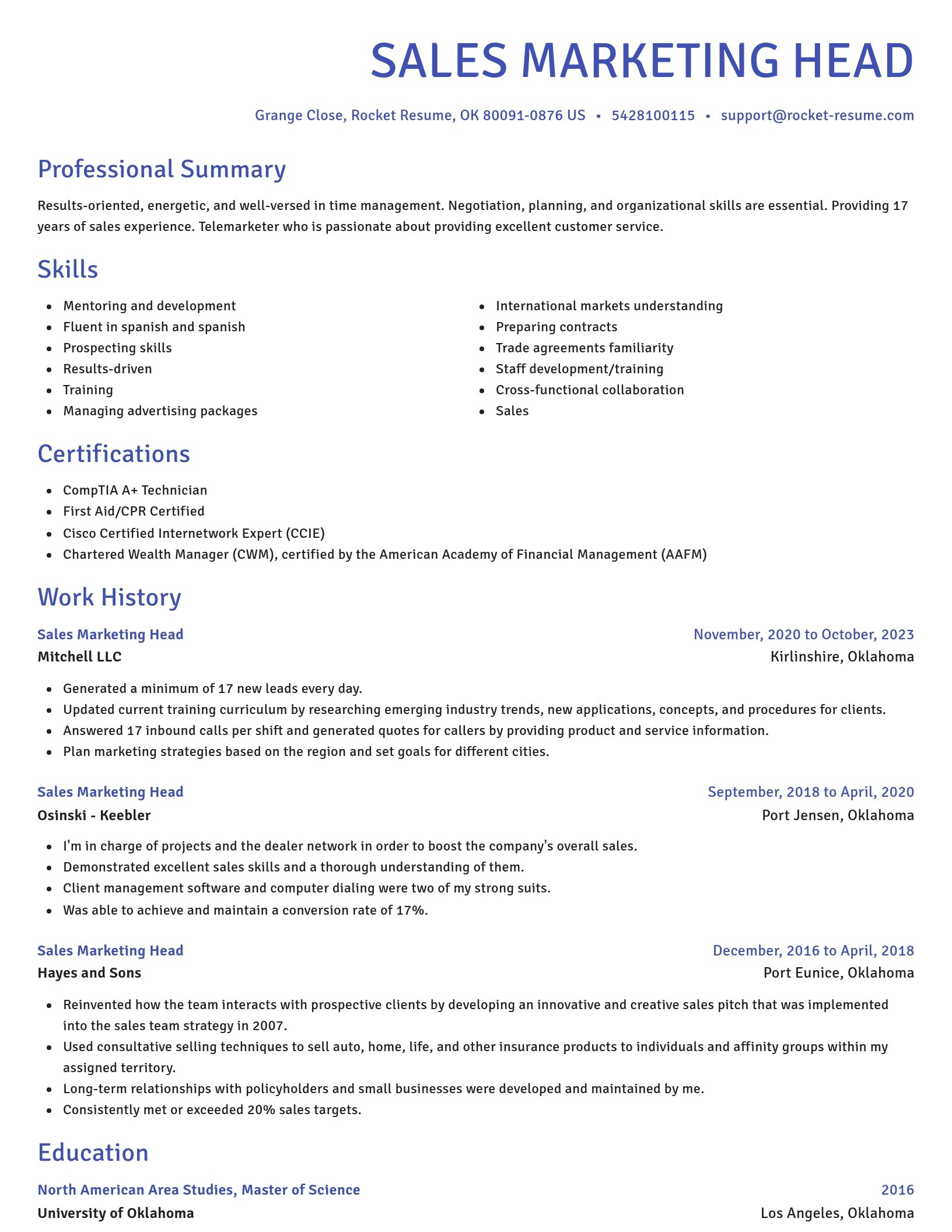 Novel resume template