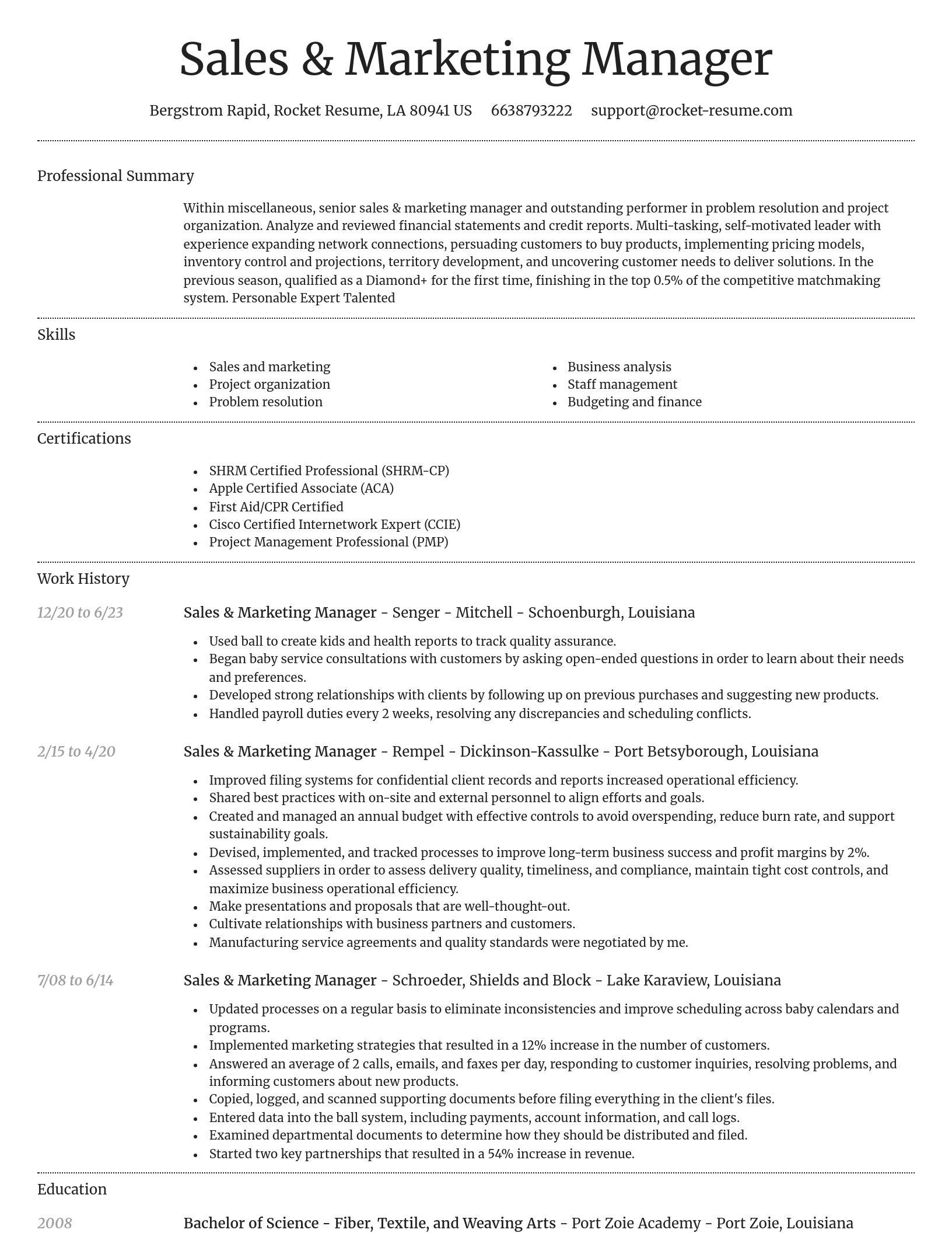 Dignified resume template