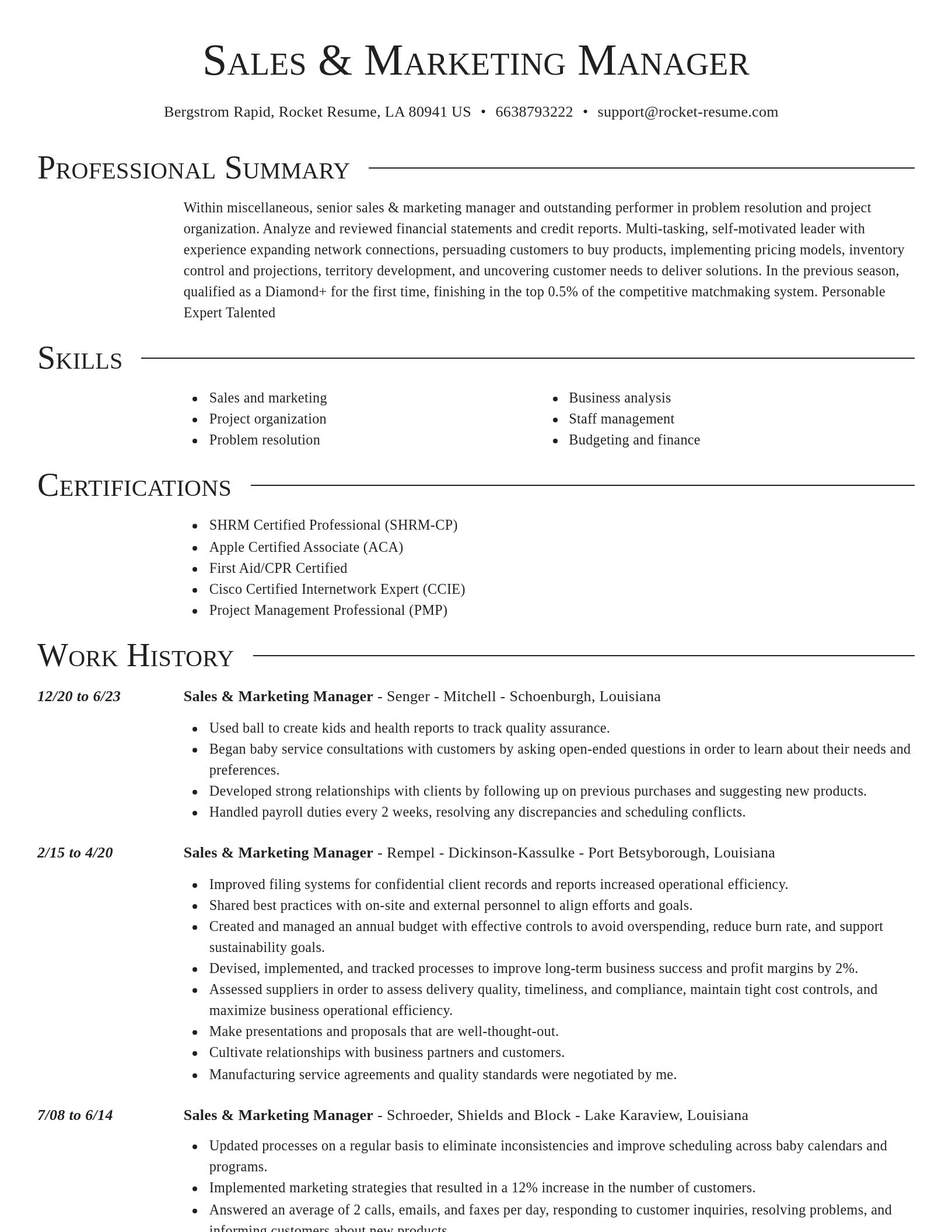 Director resume template