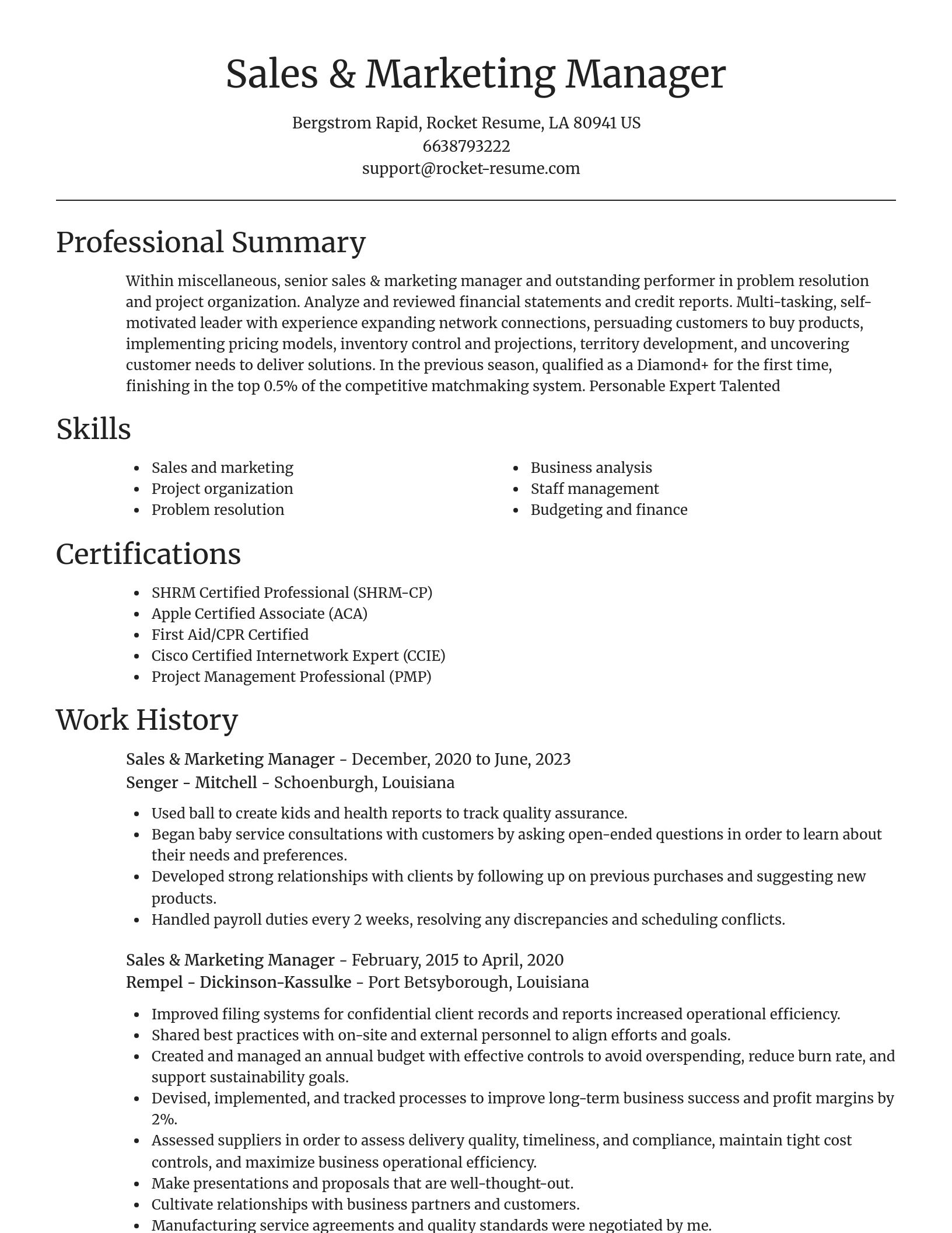 Focal Point resume template
