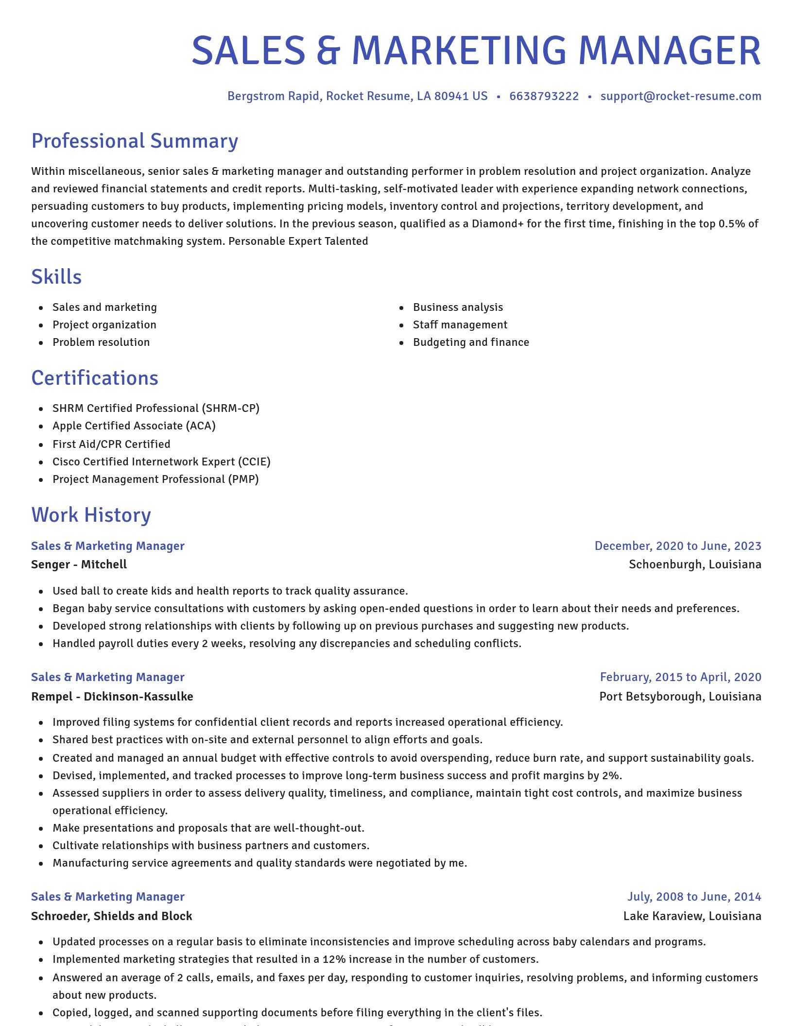 Novel resume template
