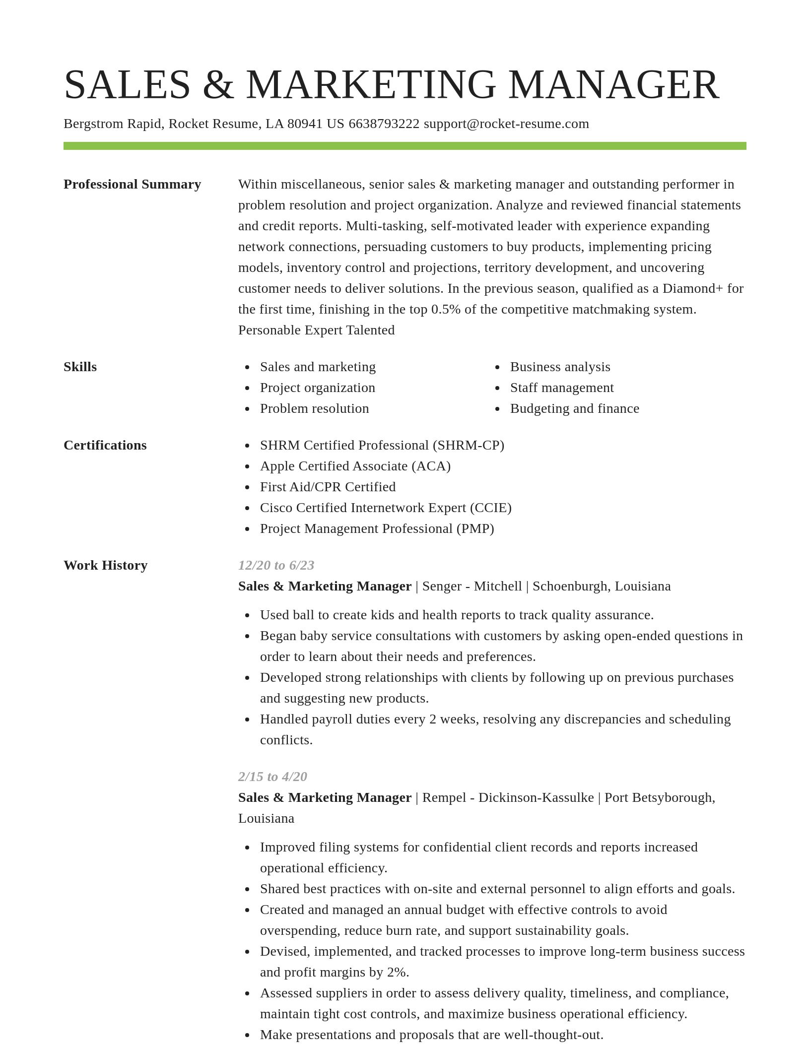 Smart resume template