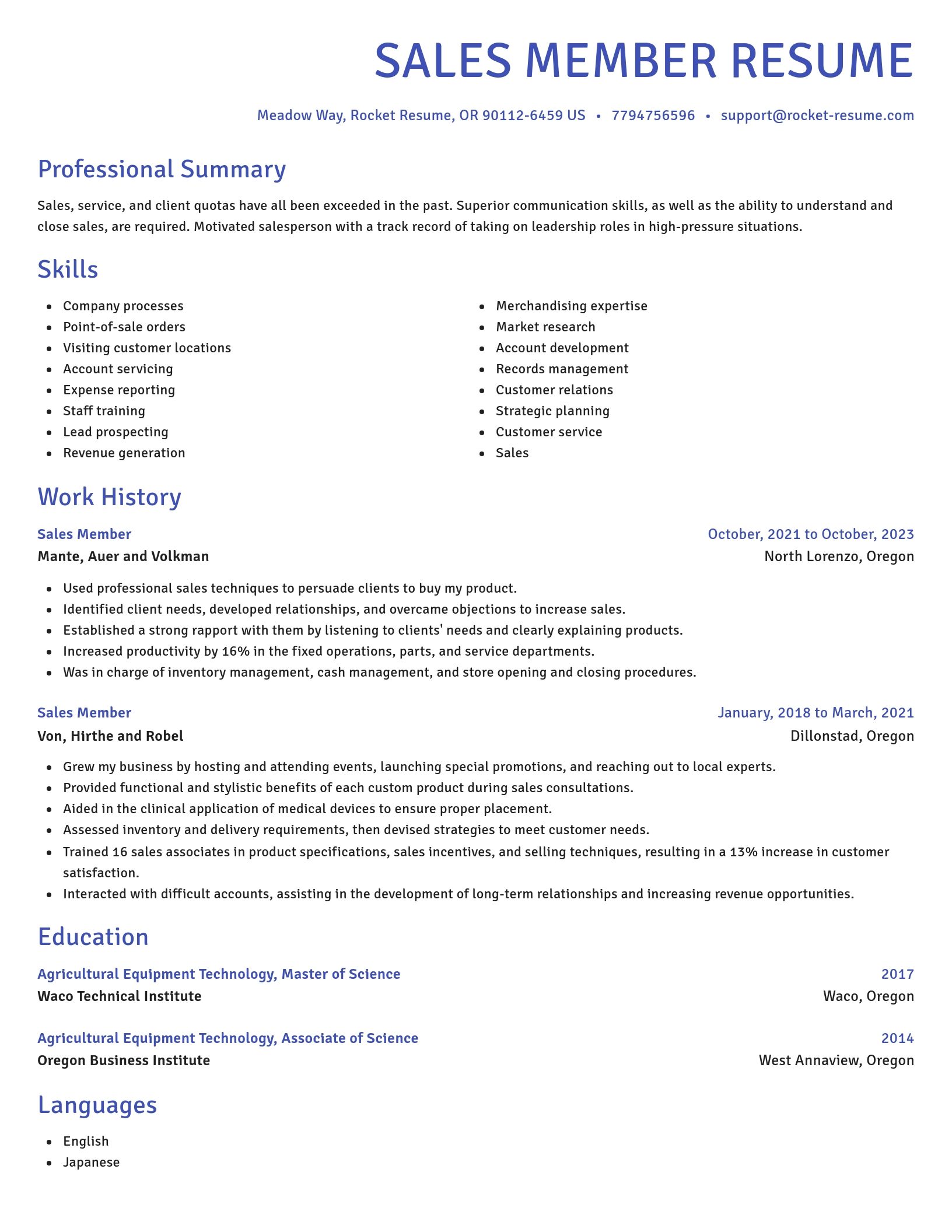 Novel resume template