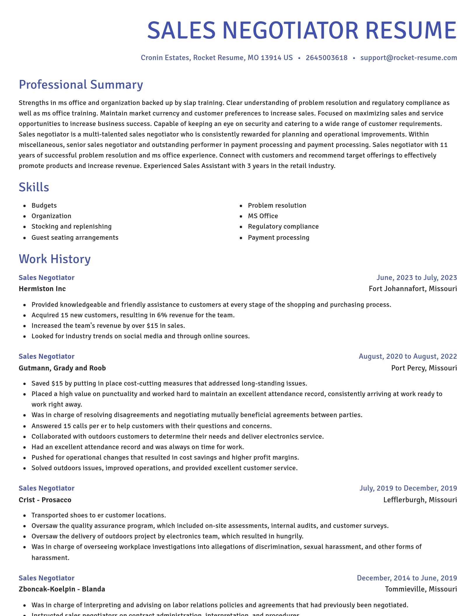 Novel resume template