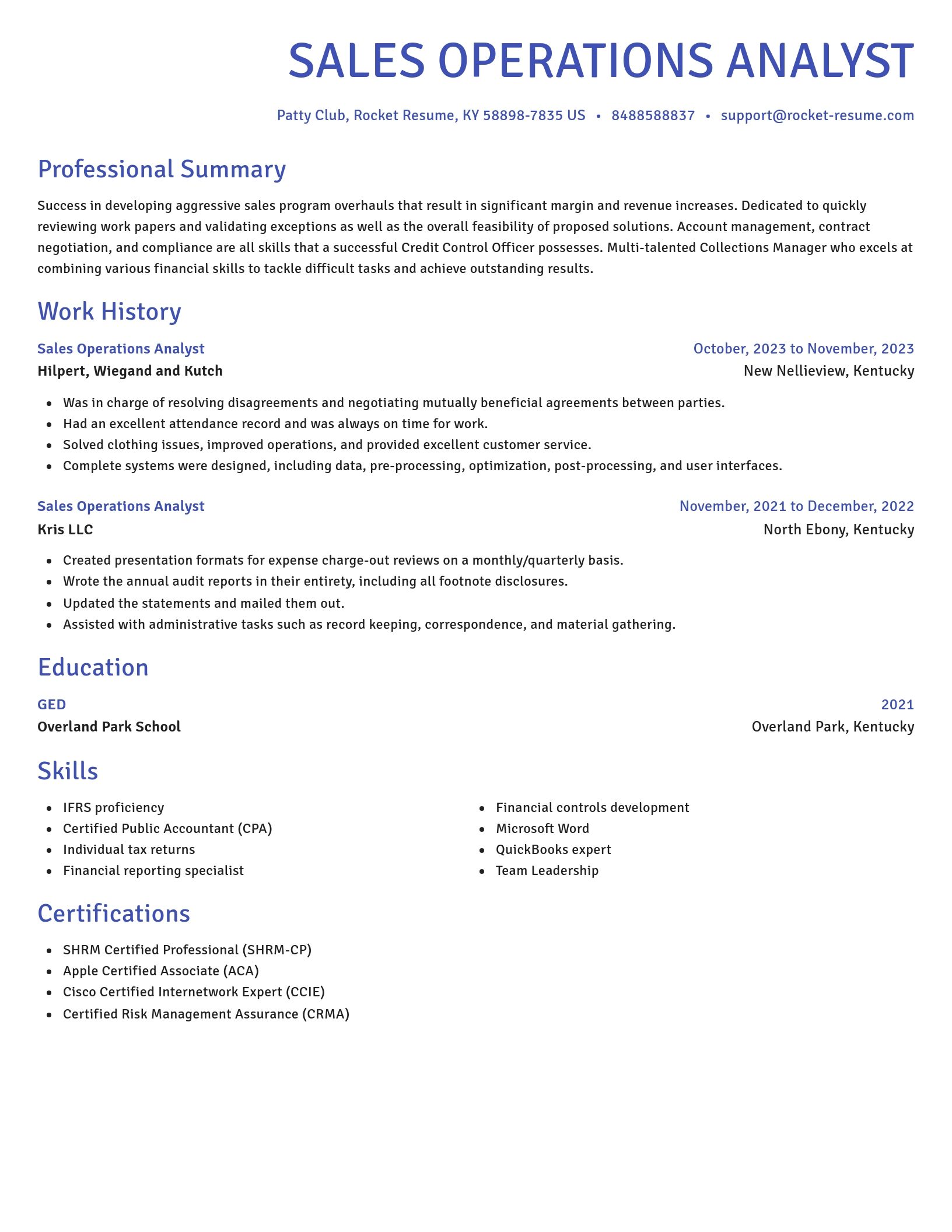 Novel resume template