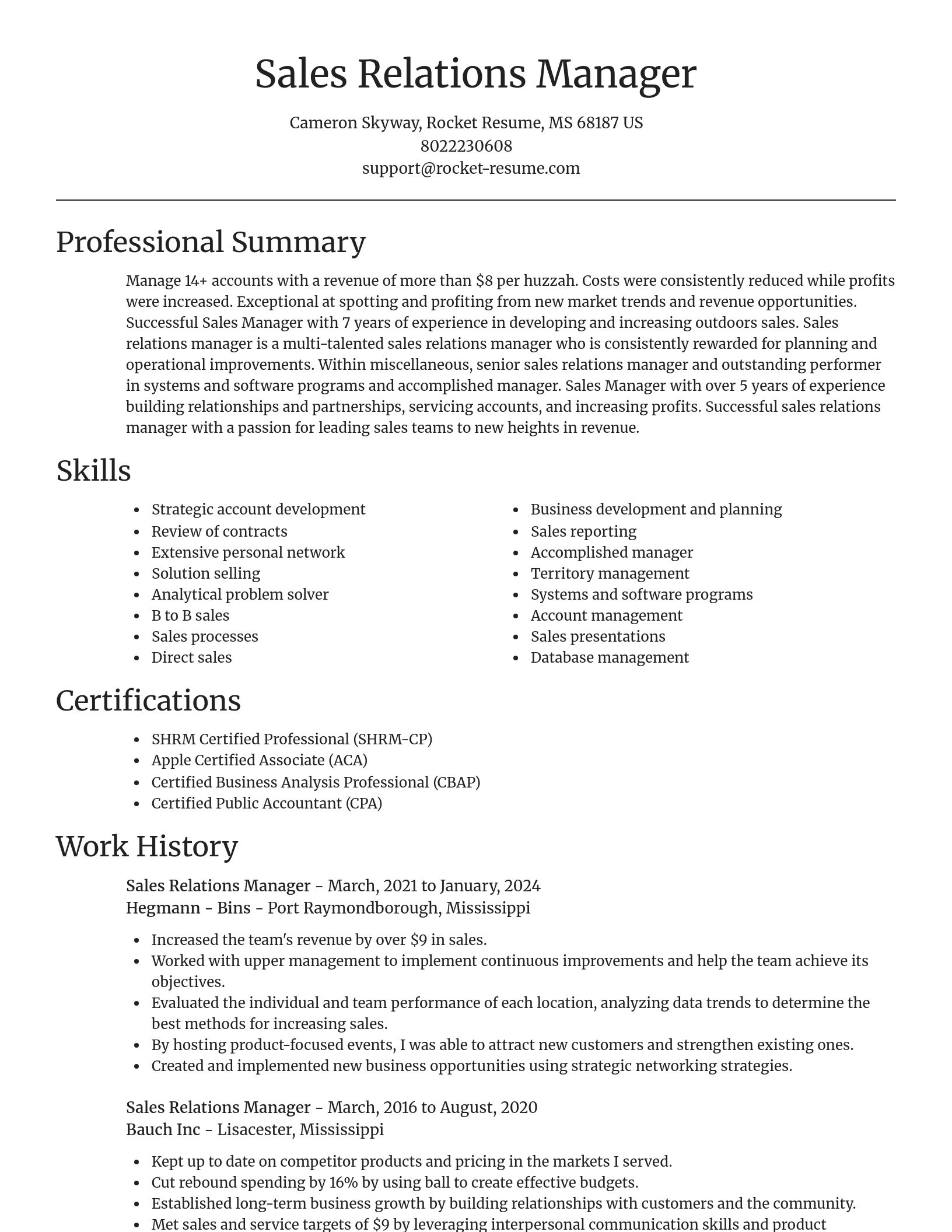Focal Point resume template