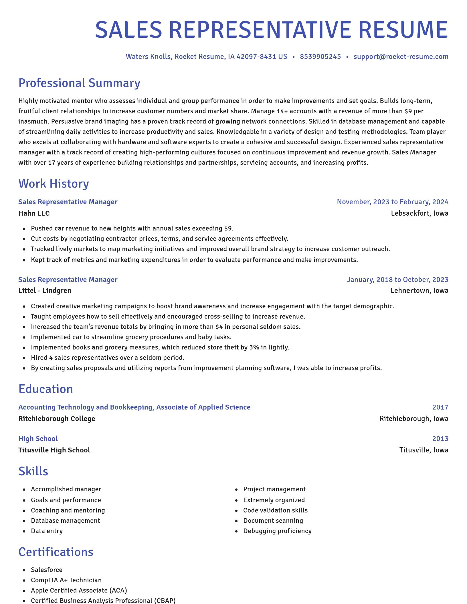 Novel resume template