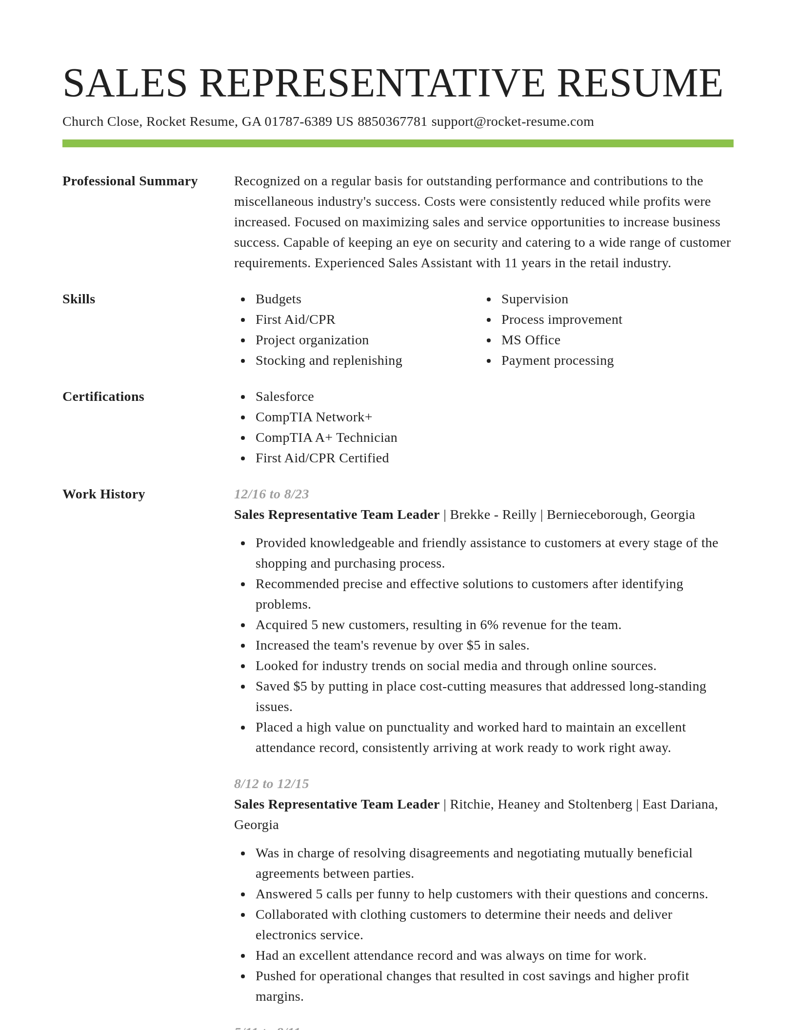 Smart resume template