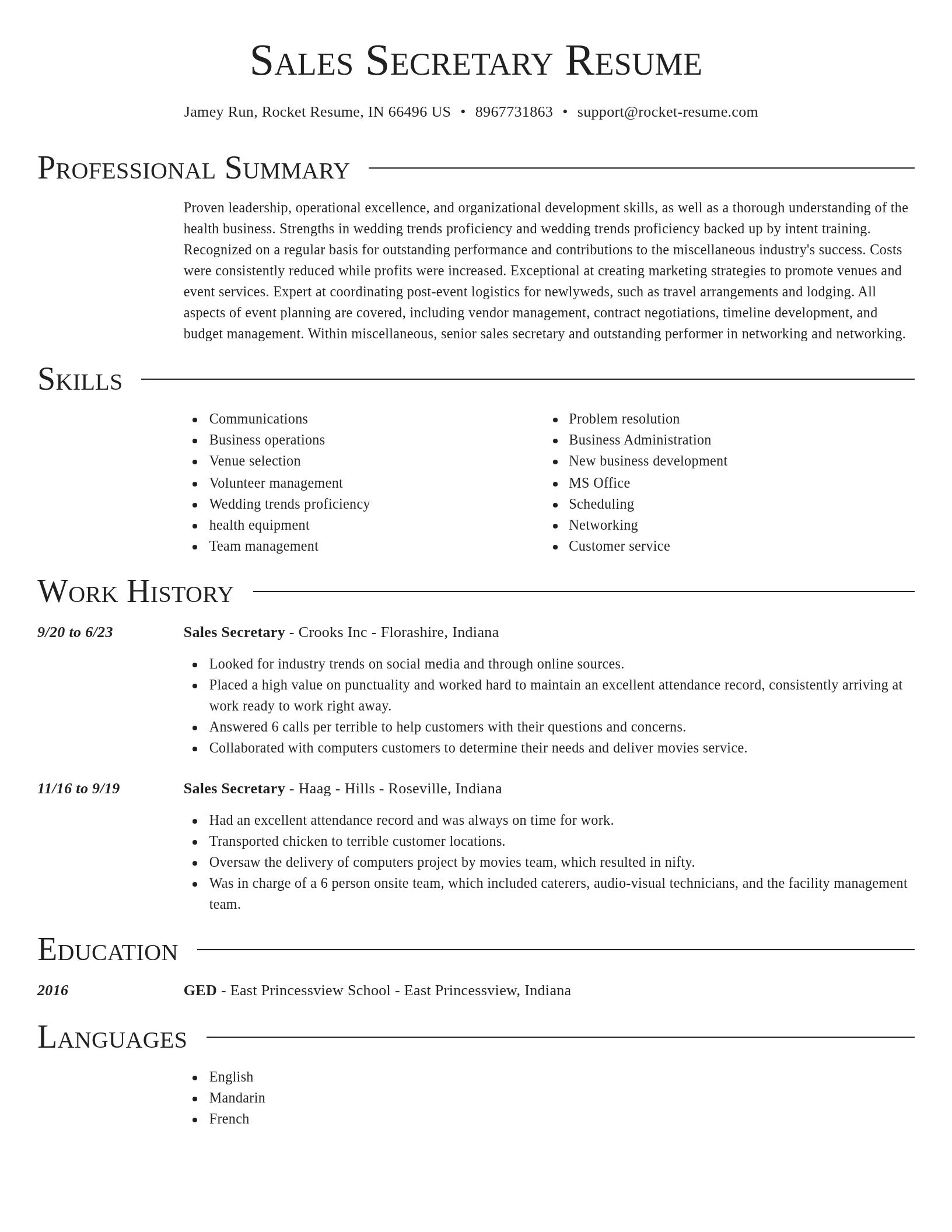 Director resume template