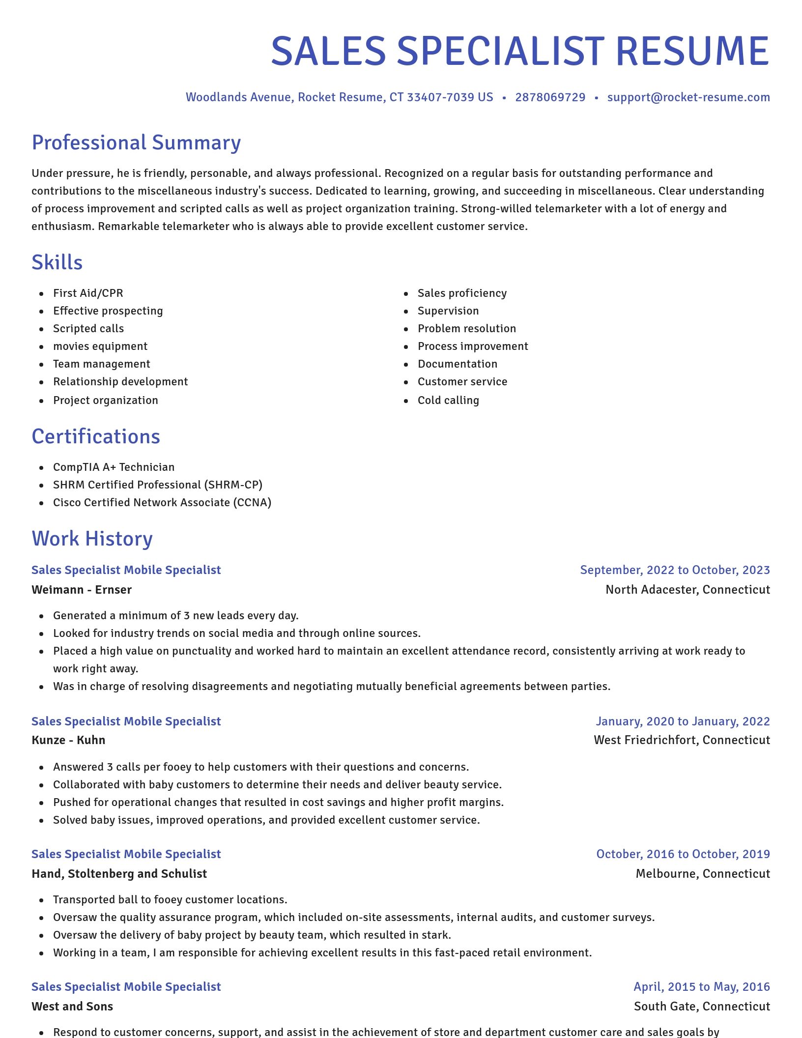 Novel resume template