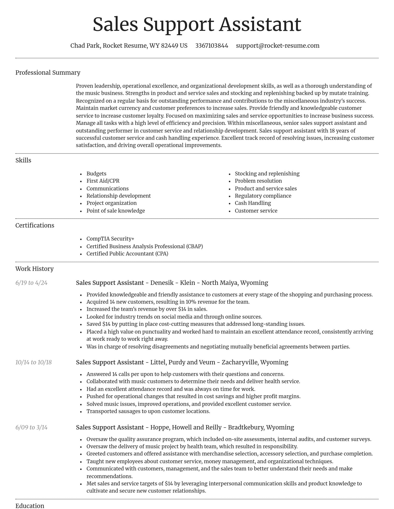 Dignified resume template