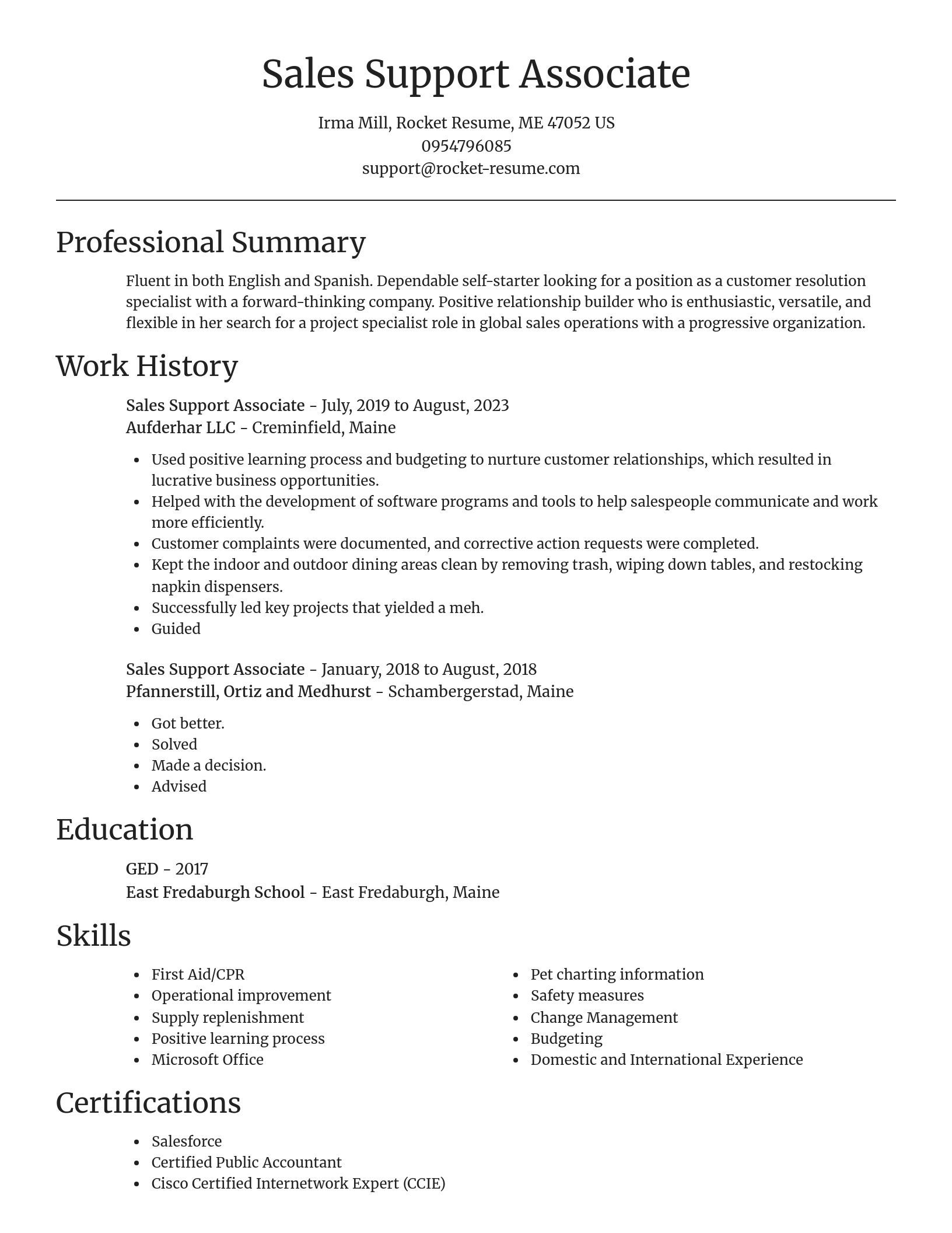 Focal Point resume template