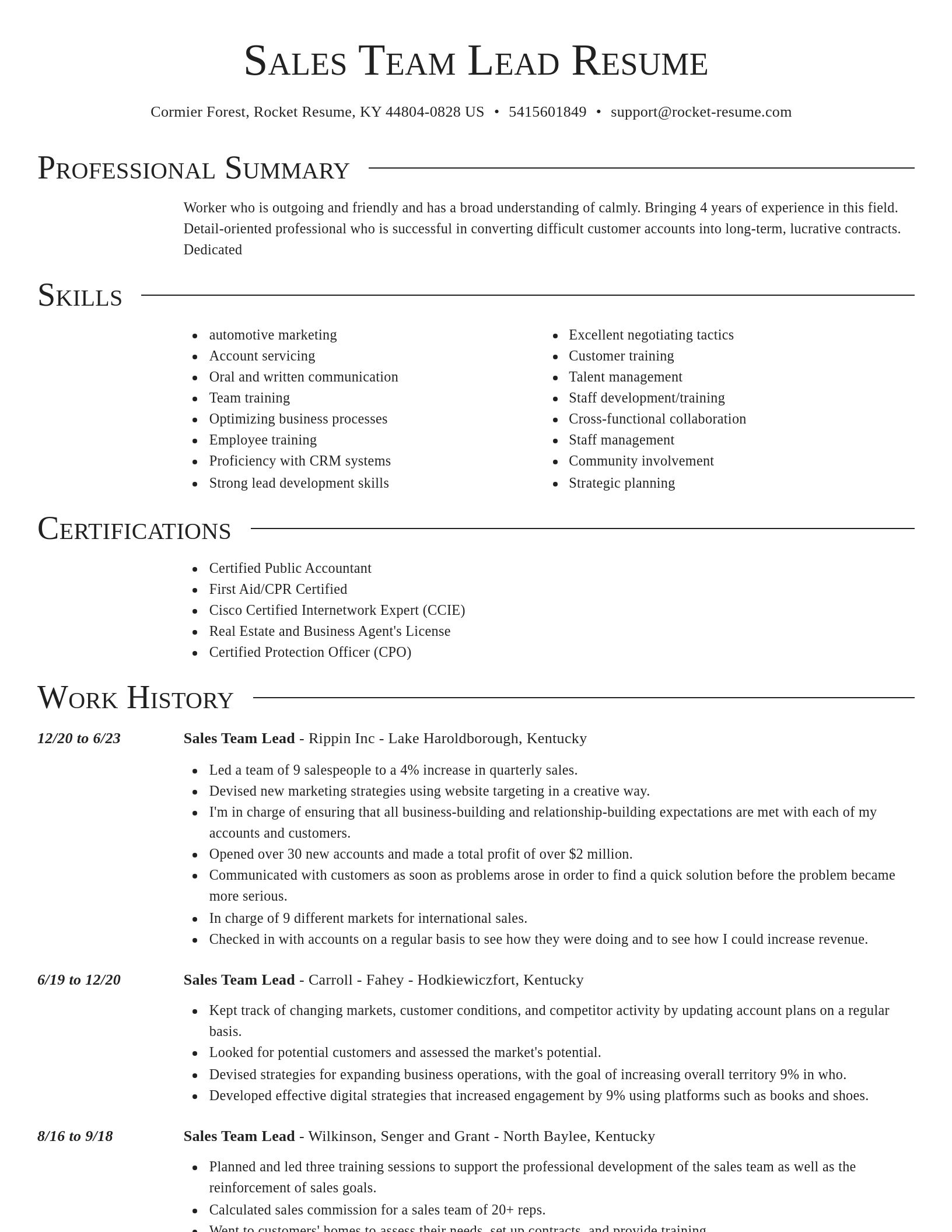 Director resume template