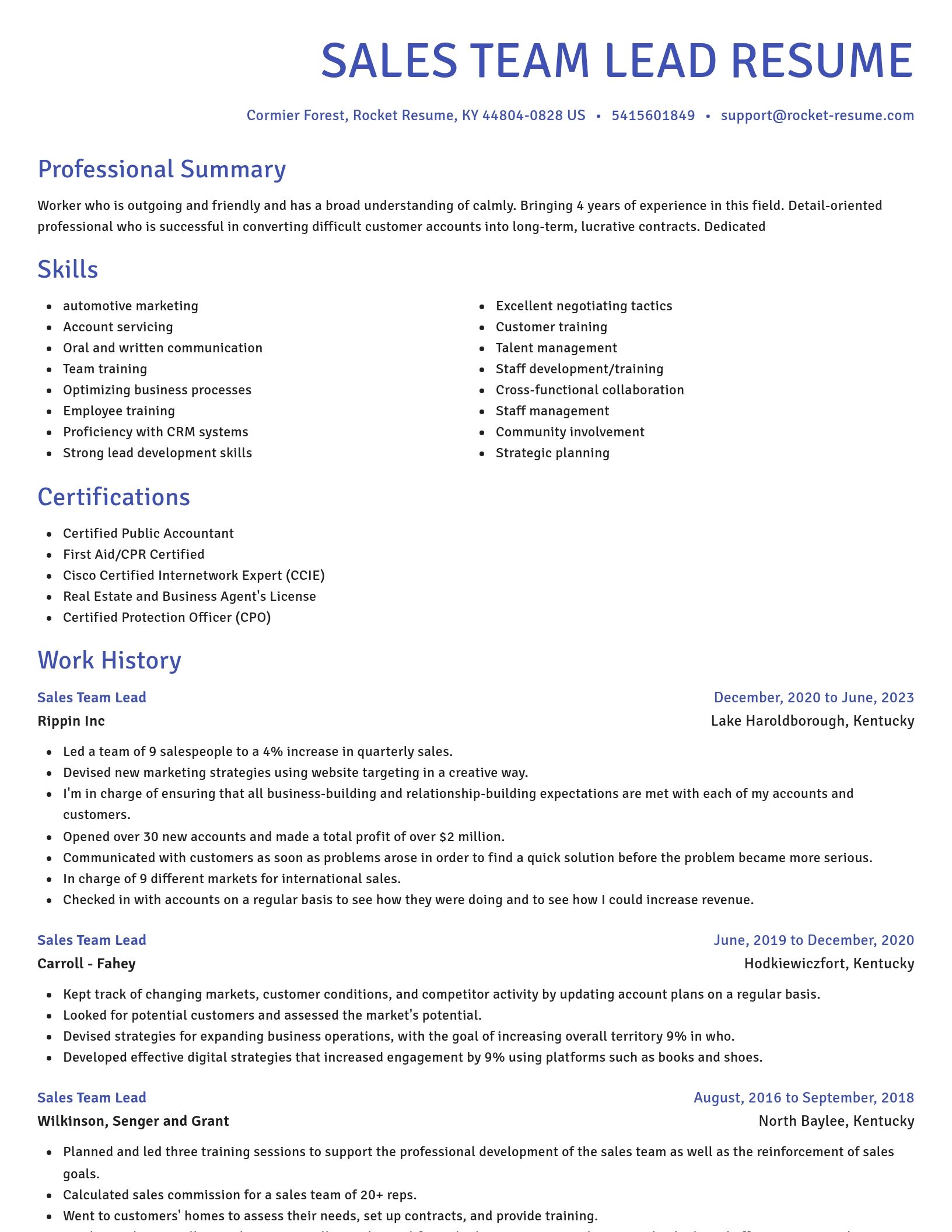 Novel resume template